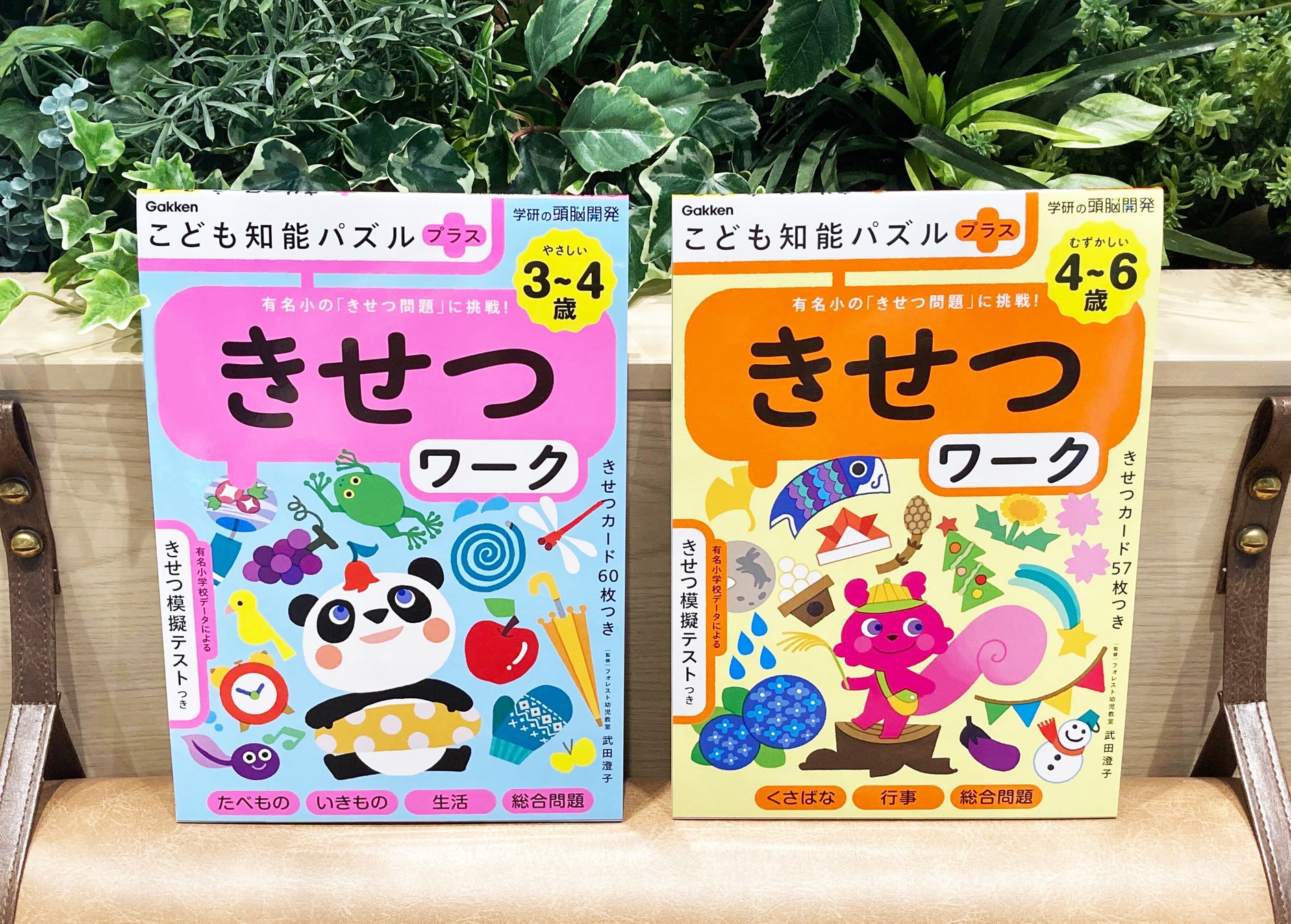 季節を楽しく学ぼう 有名小入試でも季節の問題が多数出題 3歳からできるワークが新発売 カード 模擬テストつき 株式会社 学研ホールディングスのプレスリリース 季節を楽しく学ぼう 有名小入試でも季節の問題が多数出題 3歳からできるワークが新発売 カード 模擬テストつき 株式会社 学研ホールディングスのプレスリリース