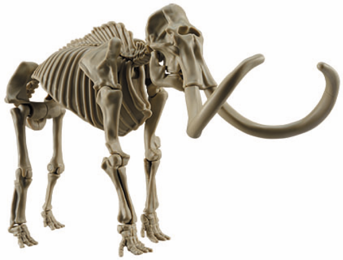 凹凸まで細かく再現されたマンモスの全身骨格。なめらかに動く頭や脚の関節によって、さまざまなポーズがつけられる。