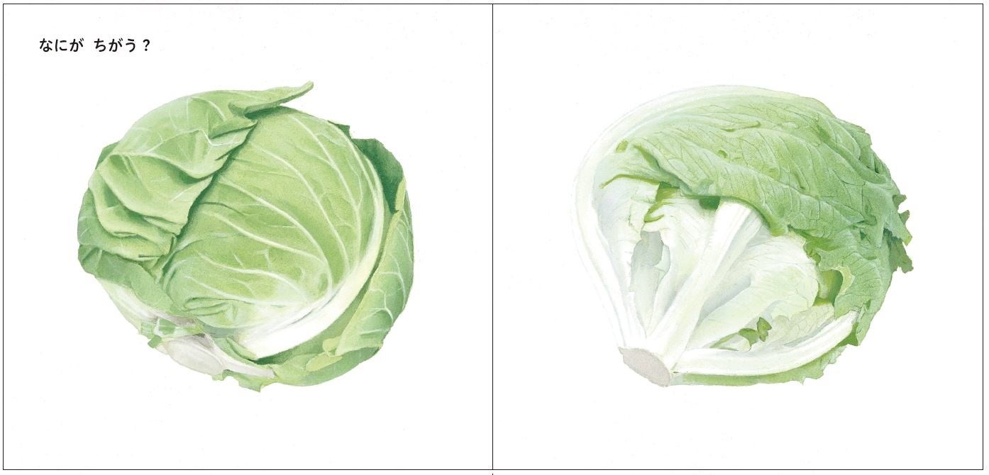 『くらべるえほん　たべもの』中面ビジュアル