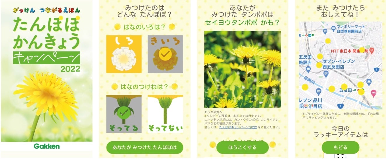 全国の親子が参加 身近な自然で環境調べ たんぽぽかんきょうキャンペーン 開催 かんたんアプリで Sdgs体験 株式会社 学研ホールディングスのプレスリリース 全国の親子が参加 身近な自然で環境調べ たんぽぽかんきょうキャンペーン 開催 かんたんアプリで Sdgs体験 株式会社 学研ホールディングスのプレスリリース