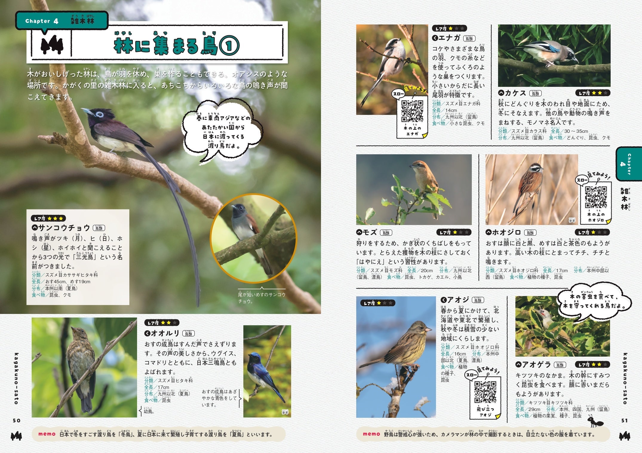 ▲番組でも大きく取り上げられたサンコウチョウも詳しく紹介しています。