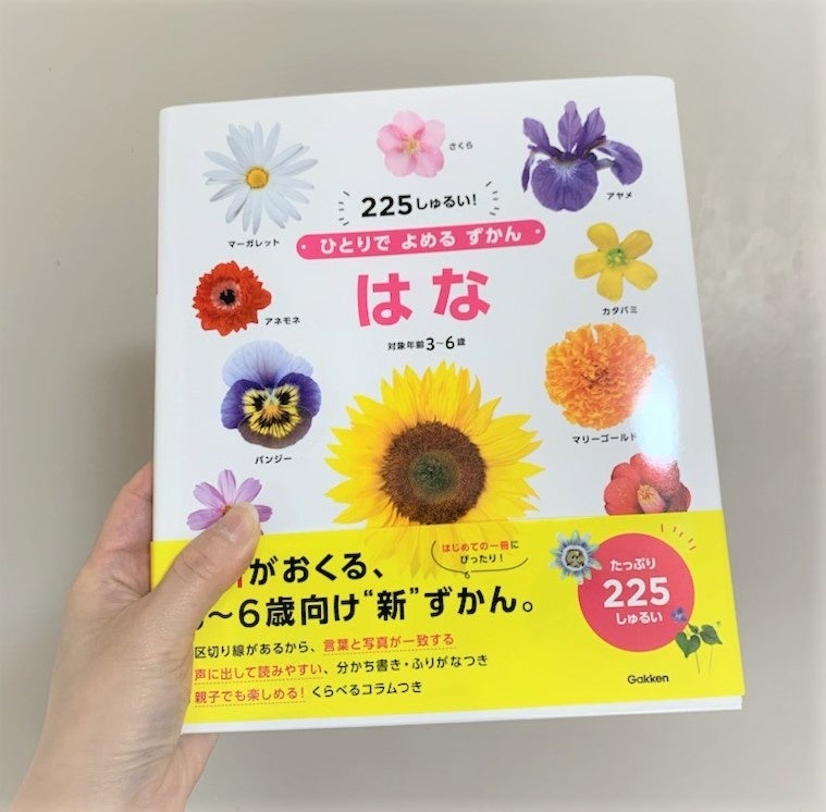 ▲幼児でもひとりで手に取れる、ちょうどいい大きさと重さ。