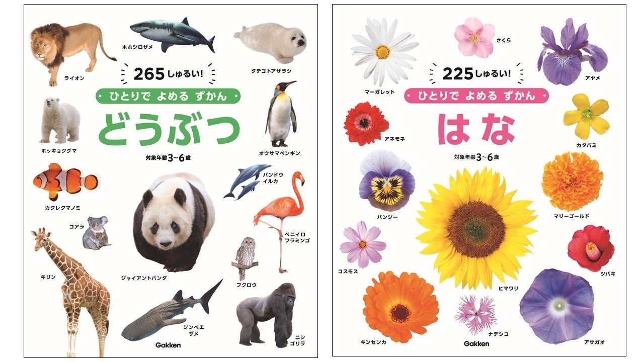 はじめての図鑑にぴったり 学研がおくる新しい幼児向け図鑑 ひとりでよめるずかん シリーズより どうぶつ はな が発売 人気シリーズの第3 4弾 株式会社 学研ホールディングスのプレスリリース はじめての図鑑にぴったり 学研がおくる新しい幼児向け図鑑 ひとりでよめるずかん シリーズより どうぶつ はな が発売 人気シリーズの第3 4弾 株式会社 学研ホールディングスのプレスリリース