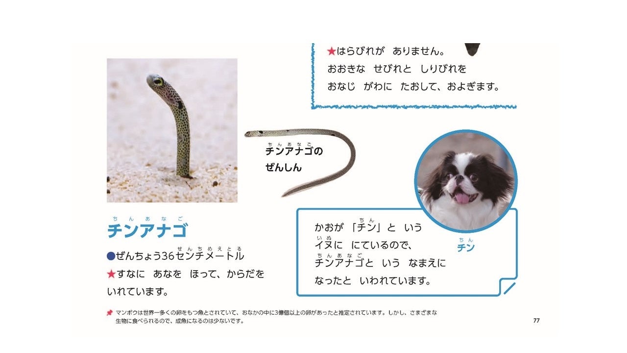 ▲誌面下部にはおうちの方向けの情報もあり、親子のコミュニケーションに役立つ。
