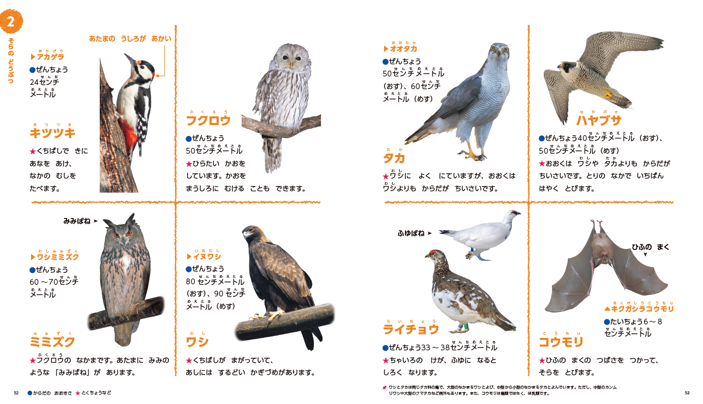 ▲専門の写真家の写真も多く掲載し、飛んでいるシーンなど動きもよくわかる。