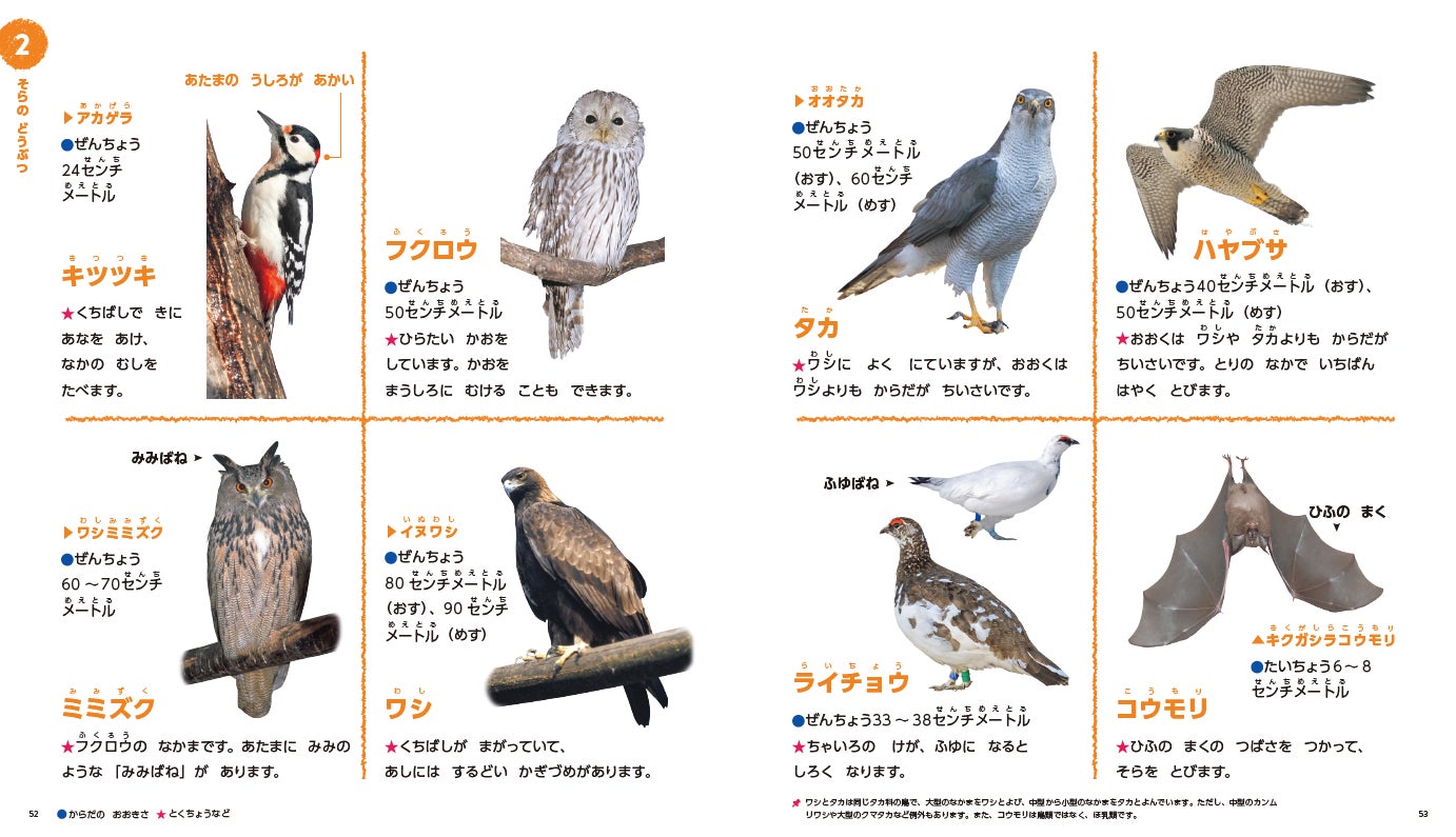 ▲専門の写真家の写真も多く掲載し、飛んでいるシーンなど動きもよくわかる。