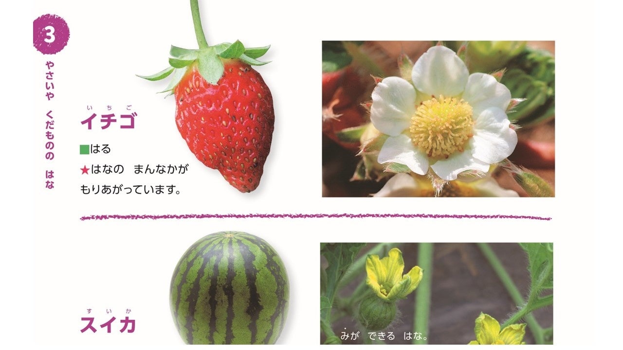 ▲紙面はすべて「わかち書き」、「漢字は使わずカナにふりがな付き」なので、声に出して読みやすい。