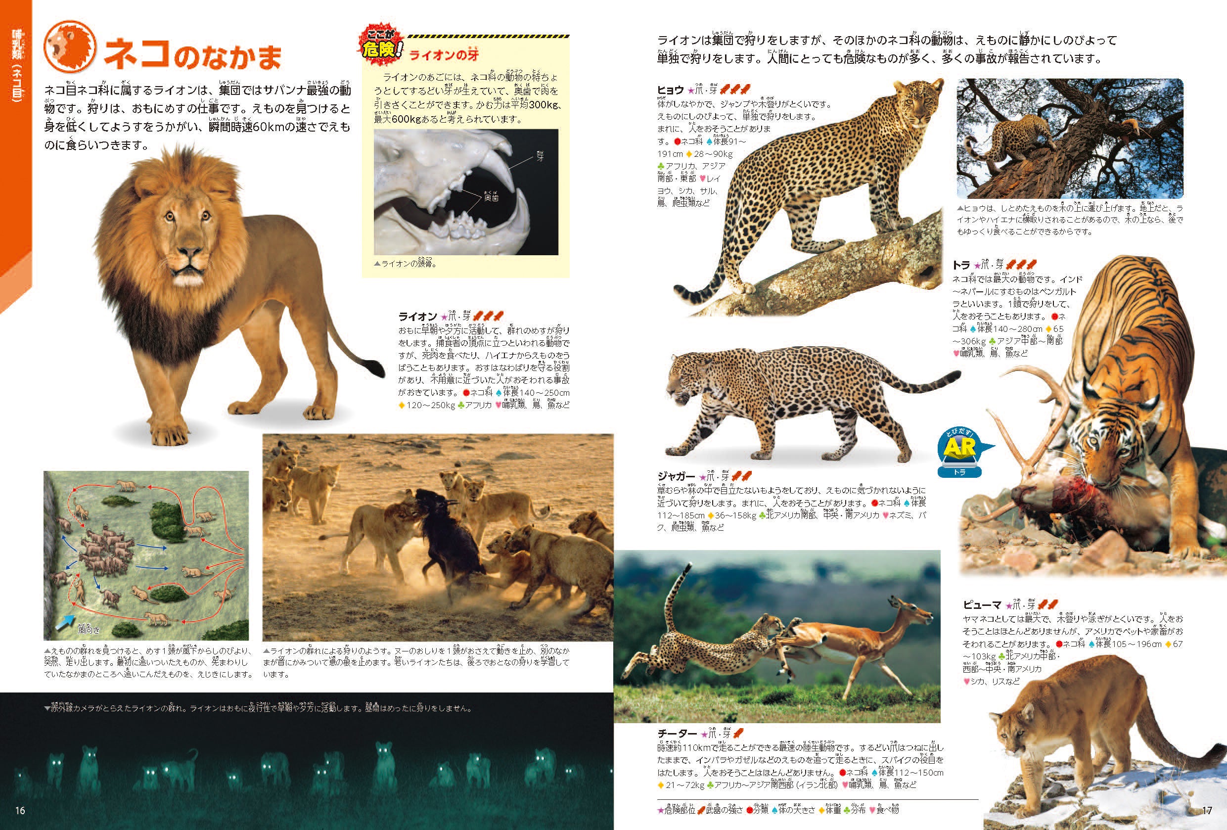 動物の図鑑 Amazon.co.jp: 新・世界絶滅危機動物図鑑(全6巻): 図書館版 : 本