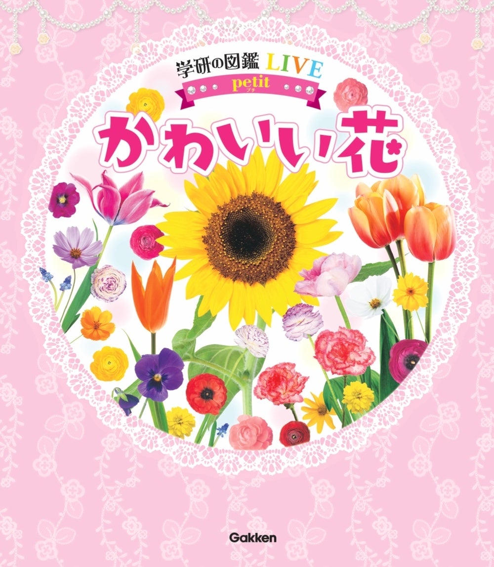 Atxss1lse8slzm Atxss1lse8slzm