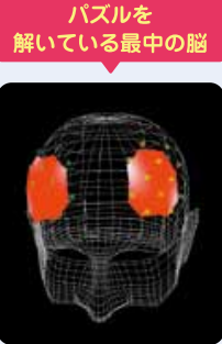 ▲解いている最中の脳の様子。赤い部分は活発に働いている場所。