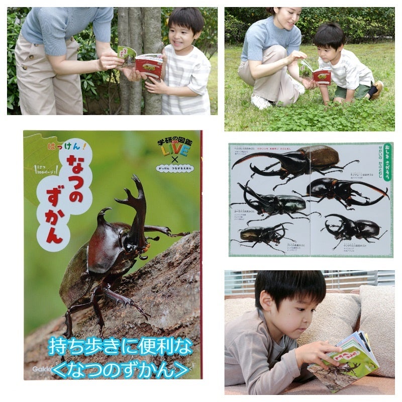 ▲たいけんポケット7月号「なつの図鑑」使用イメージ