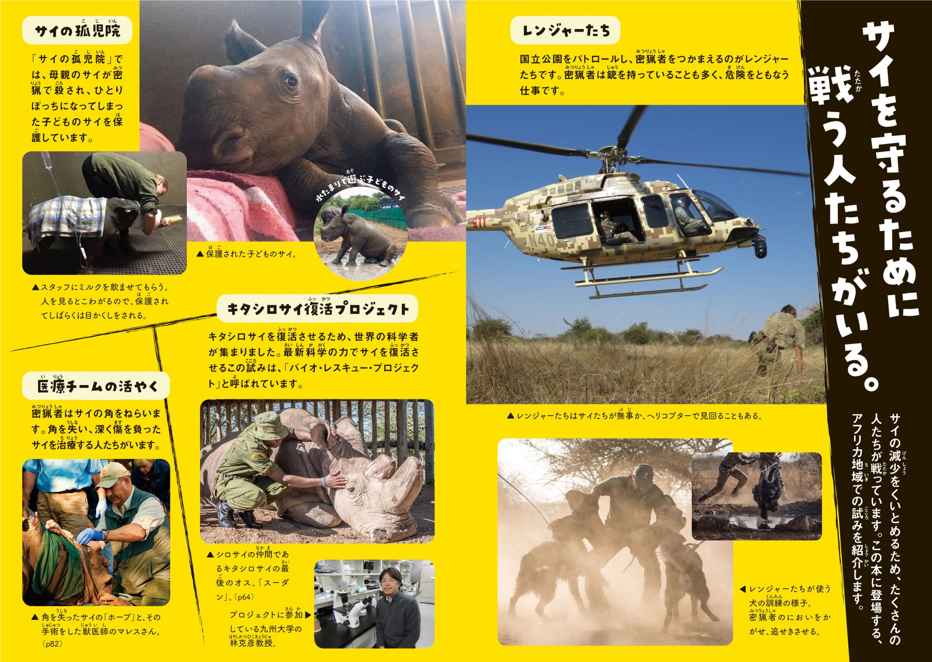 Nhk記者による サイの保護を考える児童書 この世界からサイがいなくなってしまう が第68回青少年読書感想文全国コンクール 小学校中学年の部 課題図書に選定 著者コメントが届きました 株式会社 学研ホールディングスのプレスリリース Nhk記者による サイの保護を考える児童書 この世界からサイがいなくなってしまう が第68回青少年読書感想文全国コンクール 小学校中学年の部 課題図書に選定 著者コメントが届きました 株式会社 学研ホールディングスのプレスリリース