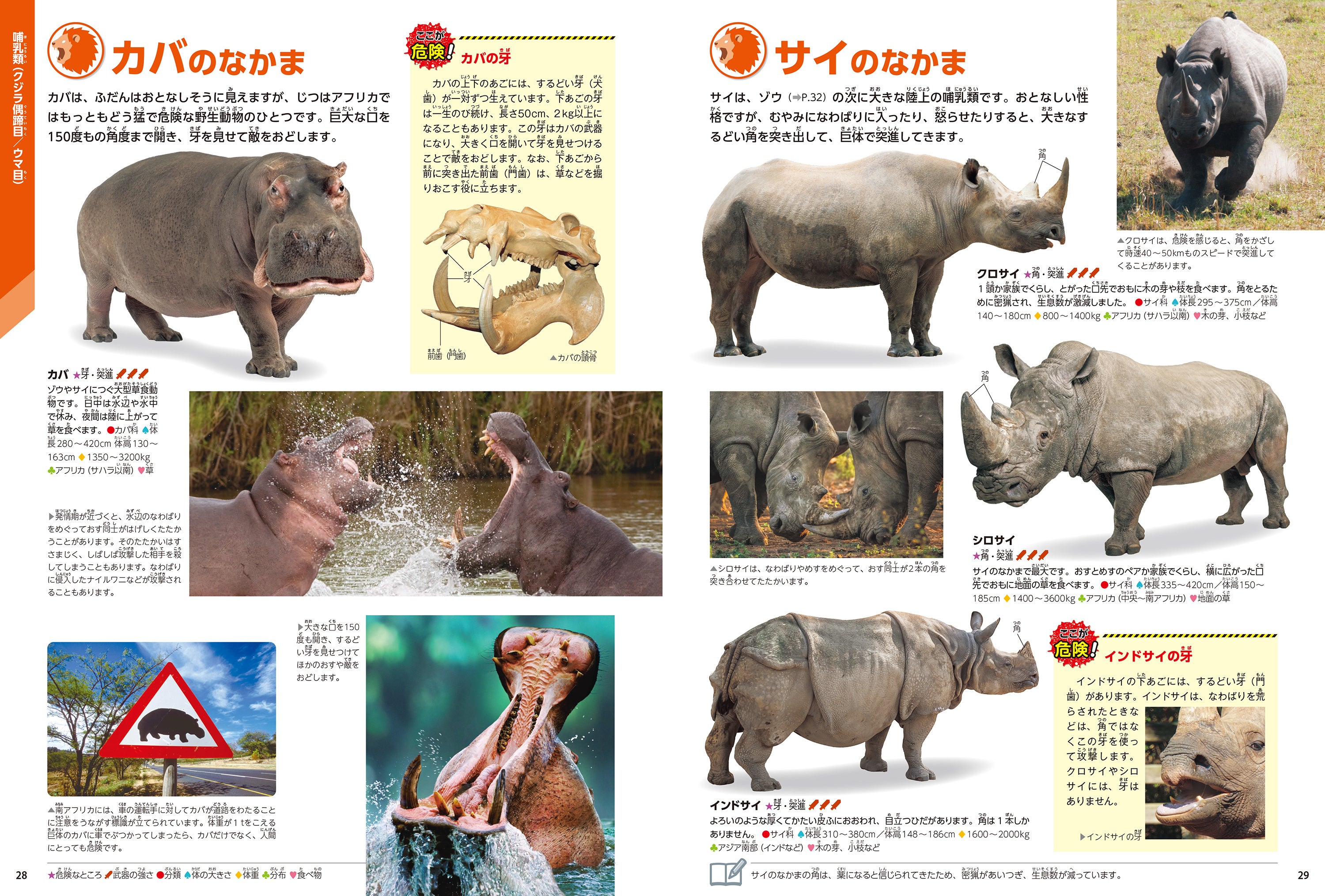 ▲分類図鑑の形式で、生き物としての特徴もよくわかる充実した標本ページ。