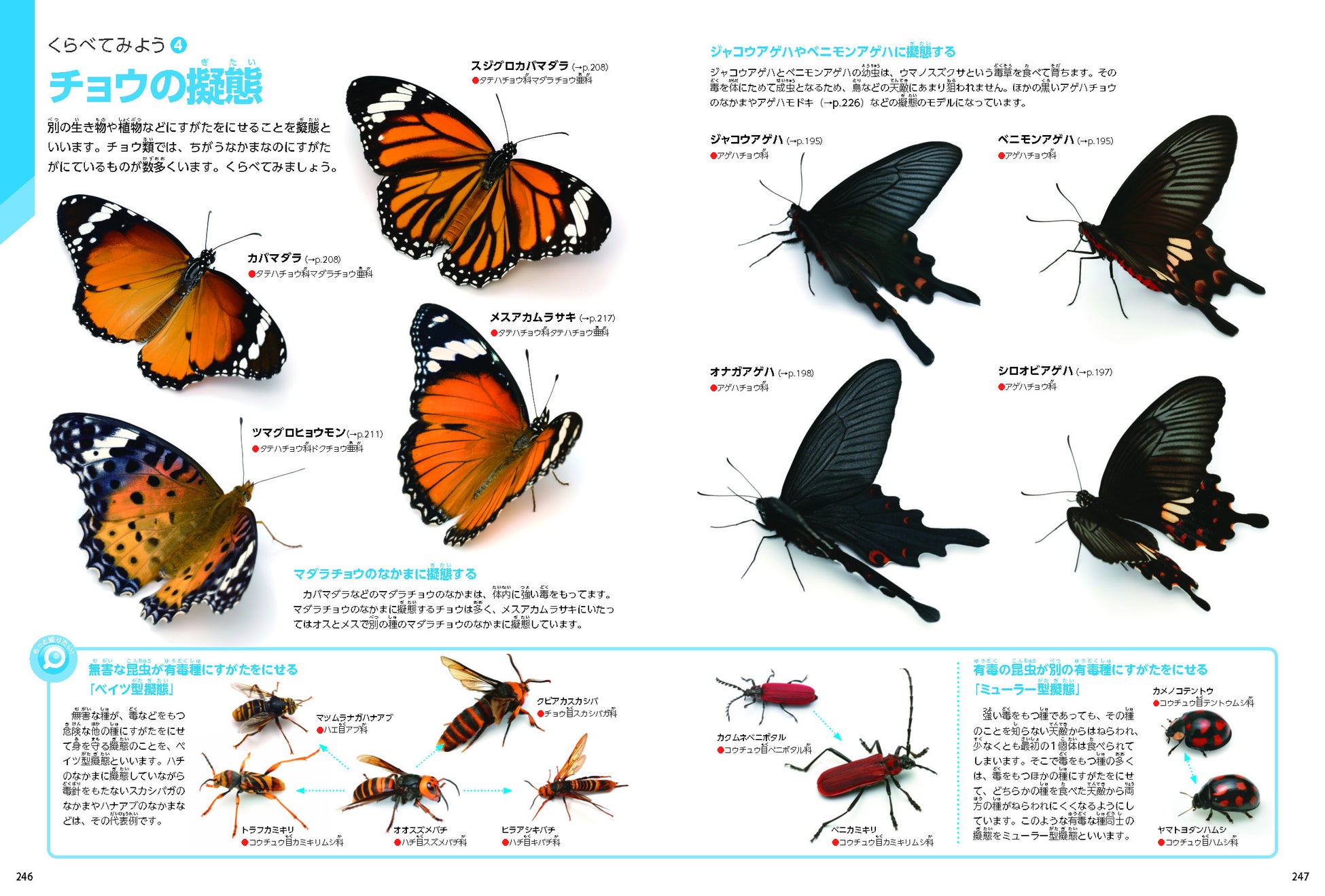 発売前から話題 学研の図鑑live 昆虫 新版 恐竜 新版 危険生物 新版 全国の書店 ネット書店で発売 株式会社 学研ホールディングスのプレスリリース 発売前から話題 学研の図鑑live 昆虫 新版 恐竜 新版 危険生物 新版 全国の書店 ネット書店で発売 株式会社 学研ホールディングスのプレスリリース