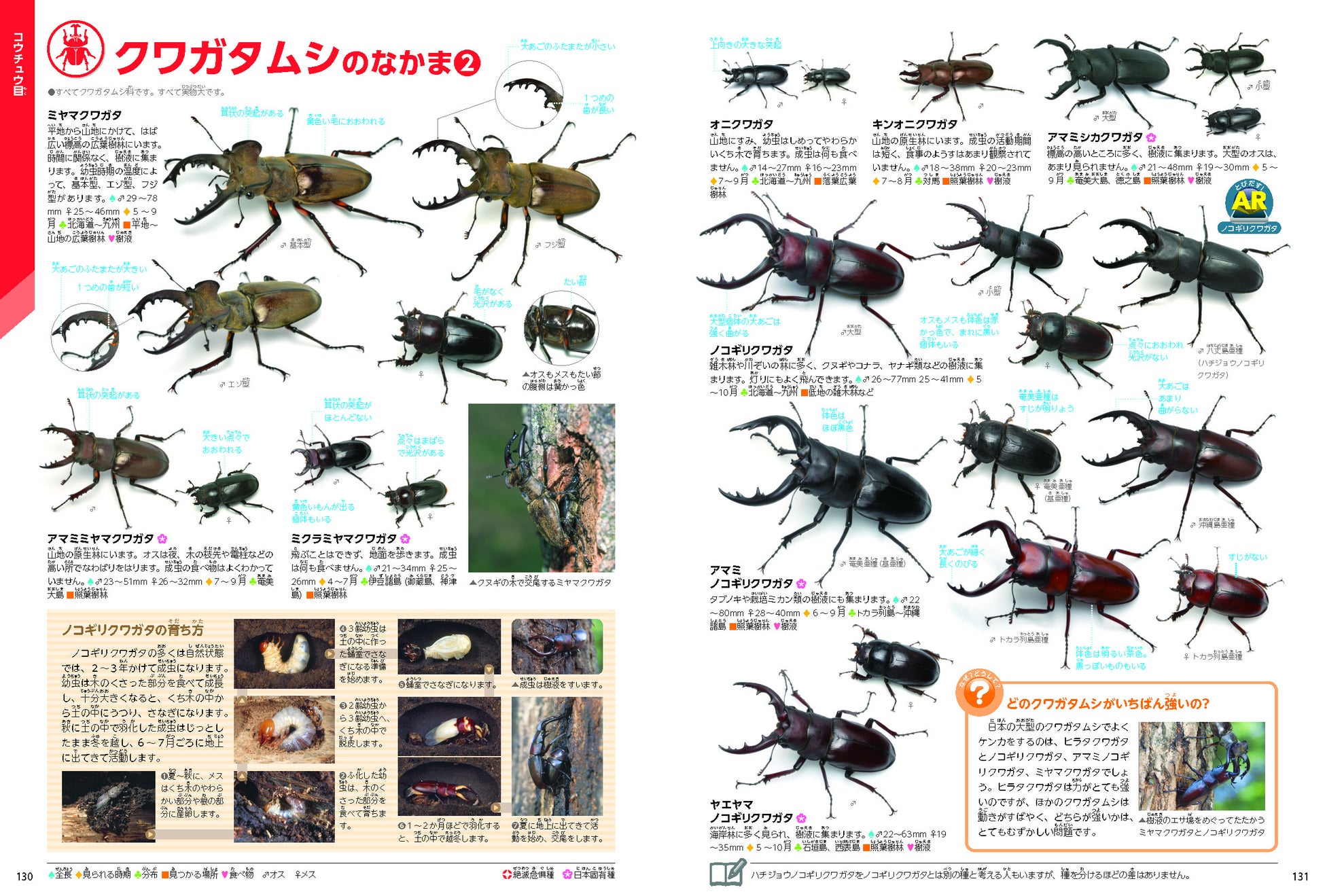 発売前から話題 学研の図鑑live 昆虫 新版 恐竜 新版 危険生物 新版 全国の書店 ネット書店で発売 株式会社 学研ホールディングスのプレスリリース 発売前から話題 学研の図鑑live 昆虫 新版 恐竜 新版 危険生物 新版 全国の書店 ネット書店で発売 株式会社 学研ホールディングスのプレスリリース