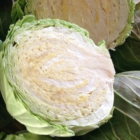 （上から鈴木光一氏、ブランド野菜「とうみぎ丸」、「紅御前」、「冬甘菜」）