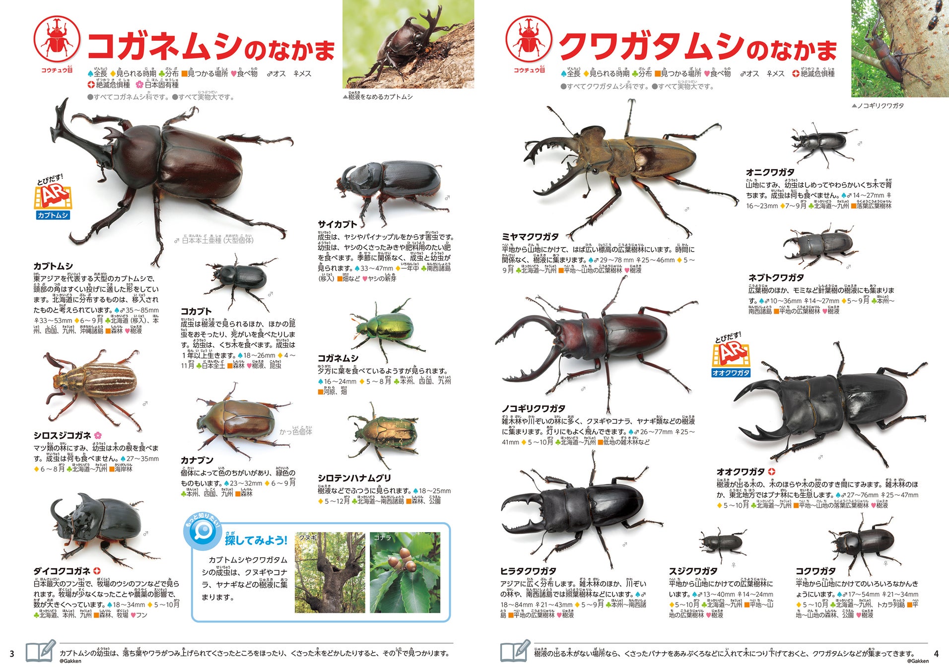 夏のアウトドアシーズンに 学研の図鑑live とフマキラーがコラボ 正しく虫を理解しアウトドアを楽しもう 株式会社 学研ホールディングスのプレスリリース 夏のアウトドアシーズンに 学研の図鑑live とフマキラーがコラボ 正しく虫を理解しアウトドアを楽しもう 株式会社 学研ホールディングスのプレスリリース