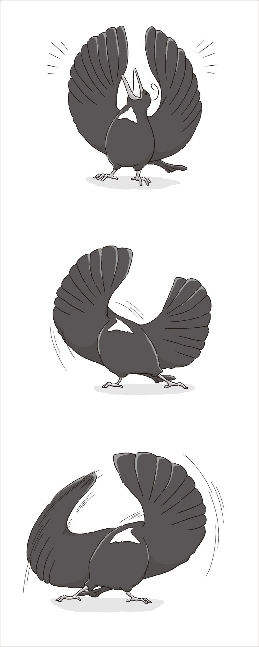 ▲『ぜんまいじかけのトリュフ 動物の国の救世主』コウロコフウチョウ・ロコのダンス