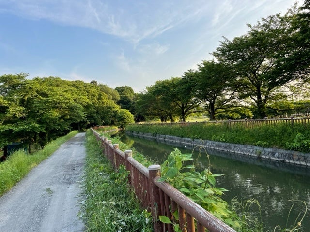 講座の舞台となる見沼田んぼへ水を供給している見沼代用水。この水から作られる農作物がどのような過程を辿って消費されていくのかを追いかけます。