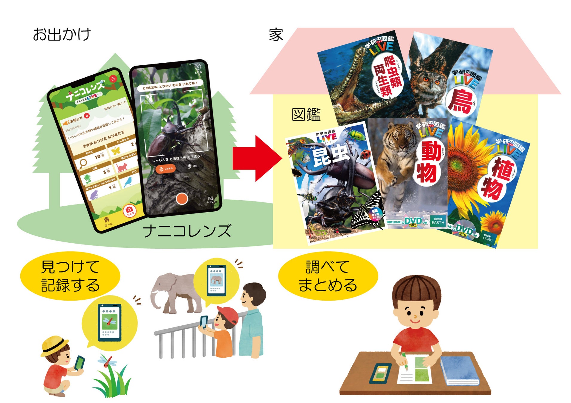 Dlランキング1位 Ai図鑑アプリ ナニコレンズ がapp Store無料 子ども向け6 8歳 ランキングで首位獲得 自由研究への活用法をご紹介 株式会社 学研ホールディングスのプレスリリース Dlランキング1位 Ai図鑑アプリ ナニコレンズ がapp Store無料 子ども向け6 8歳 ランキングで首位獲得 自由研究への活用法をご紹介 株式会社 学研ホールディングスのプレスリリース