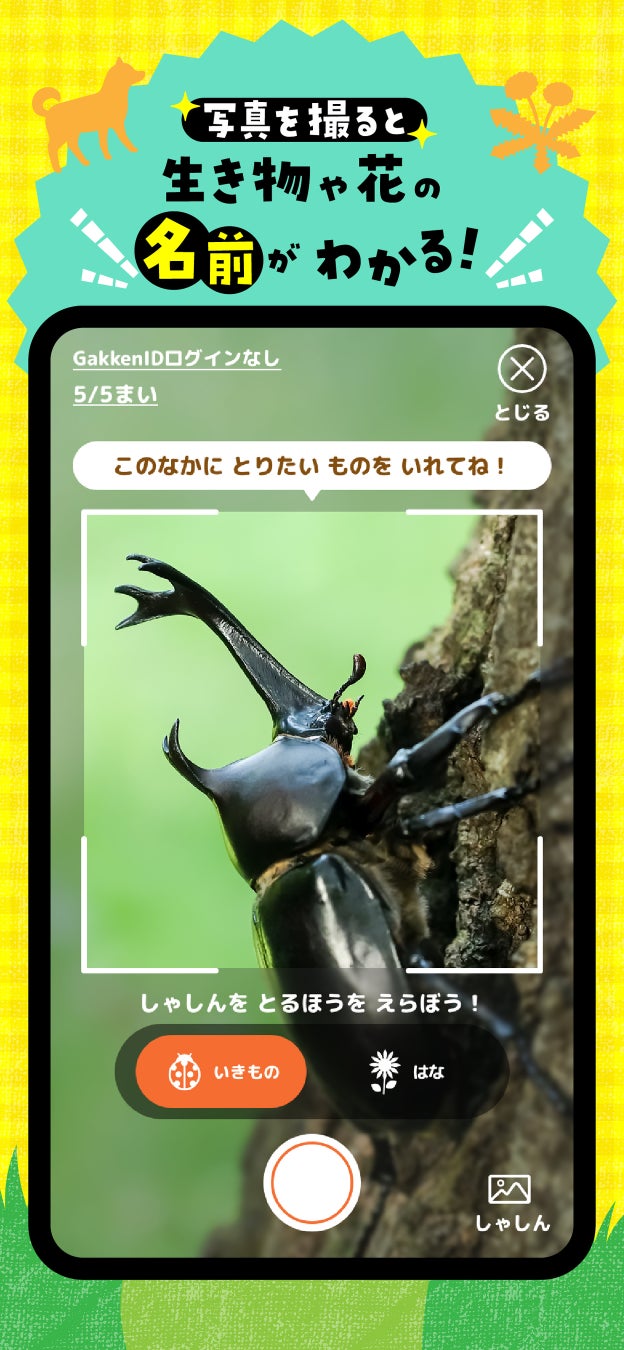 Dlランキング3冠達成 Ai図鑑アプリ ナニコレンズ がapp Storeランキング 3ジャンル 1 で1位獲得 株式会社 学研ホールディングスのプレスリリース Dlランキング3冠達成 Ai図鑑アプリ ナニコレンズ がapp Storeランキング 3ジャンル 1 で1位獲得 株式会社 学研ホールディングスのプレスリリース