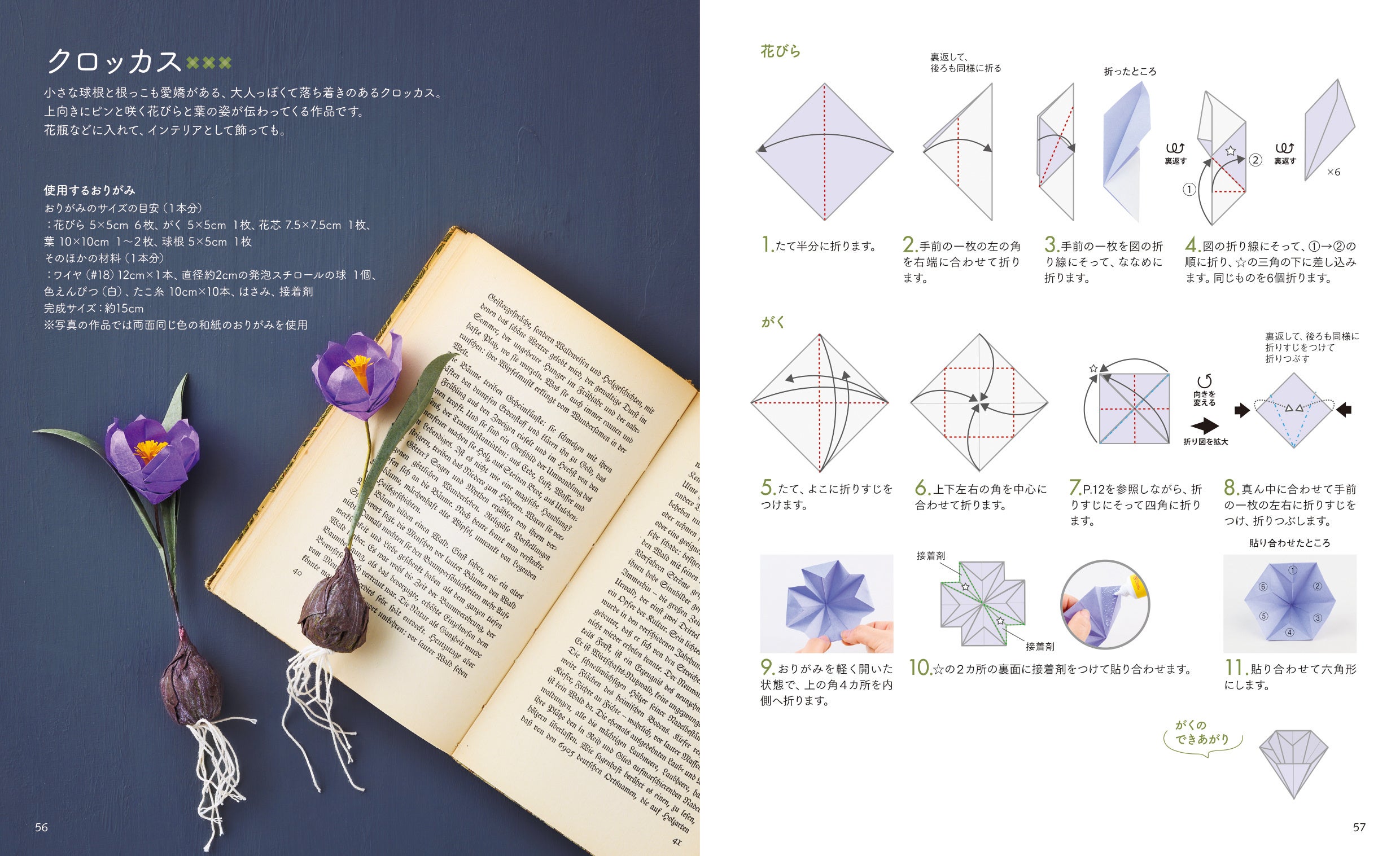 上級者向け「クロッカス」