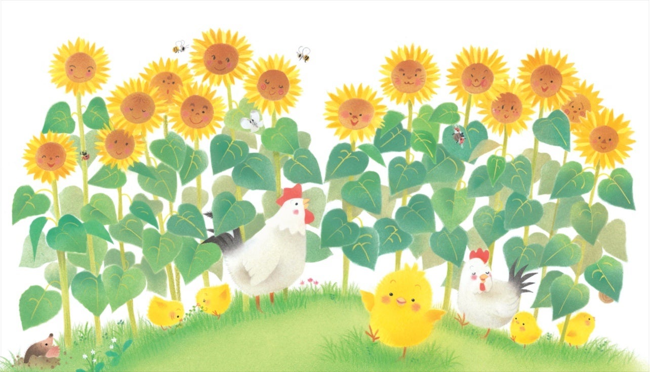 ▲『ぴよちゃんとひまわり』本文ページより