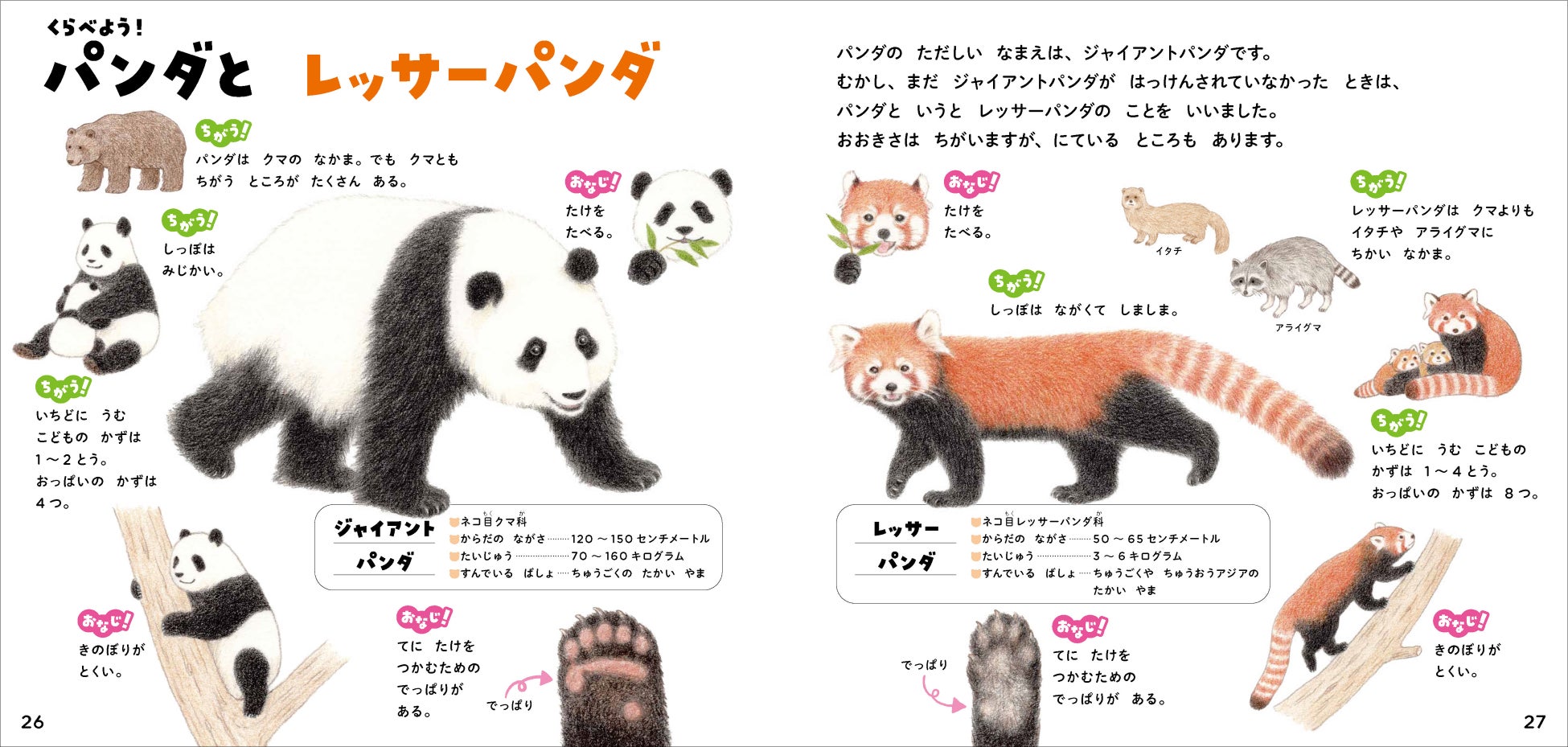 パンダ来日50周年記念 パンダが大集合の絵本のような図鑑 学研のえほんずかん パンダのずかん 予約開始 絵本のようなやさしいタッチで 図鑑のように学べます 株式会社 学研ホールディングスのプレスリリース パンダ来日50周年記念 パンダが大集合の絵本のような図鑑 学研のえほんずかん パンダのずかん 予約開始 絵本のようなやさしいタッチで 図鑑のように学べます 株式会社 学研ホールディングスのプレスリリース