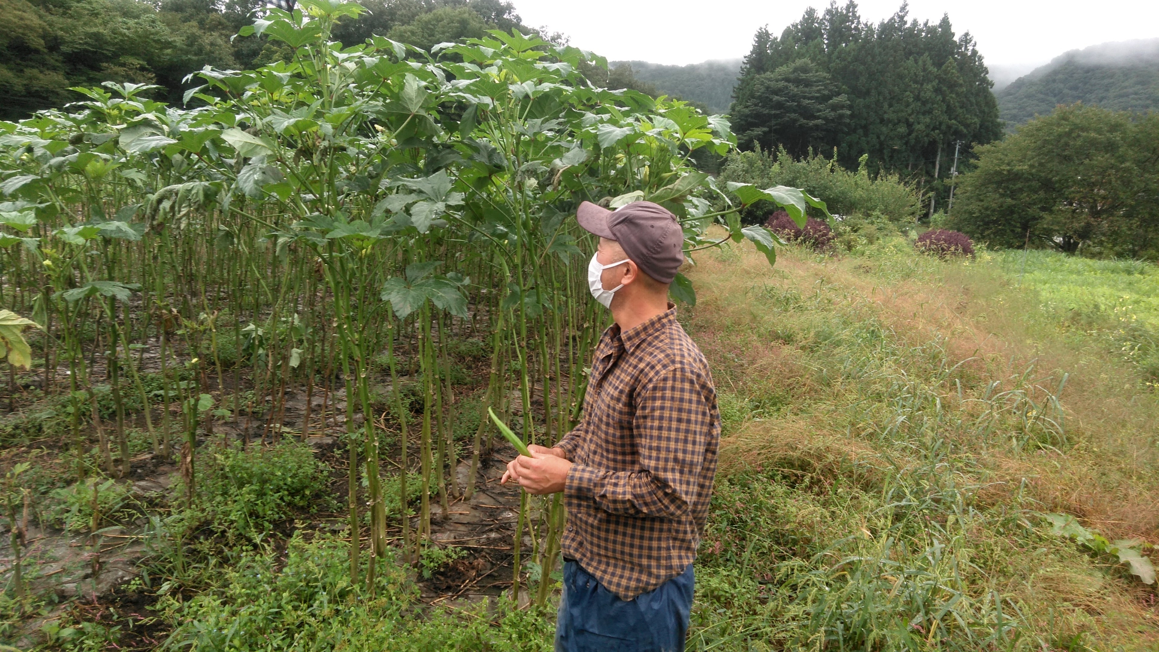 取材協力：くまっこ農園 渡辺 重貴氏