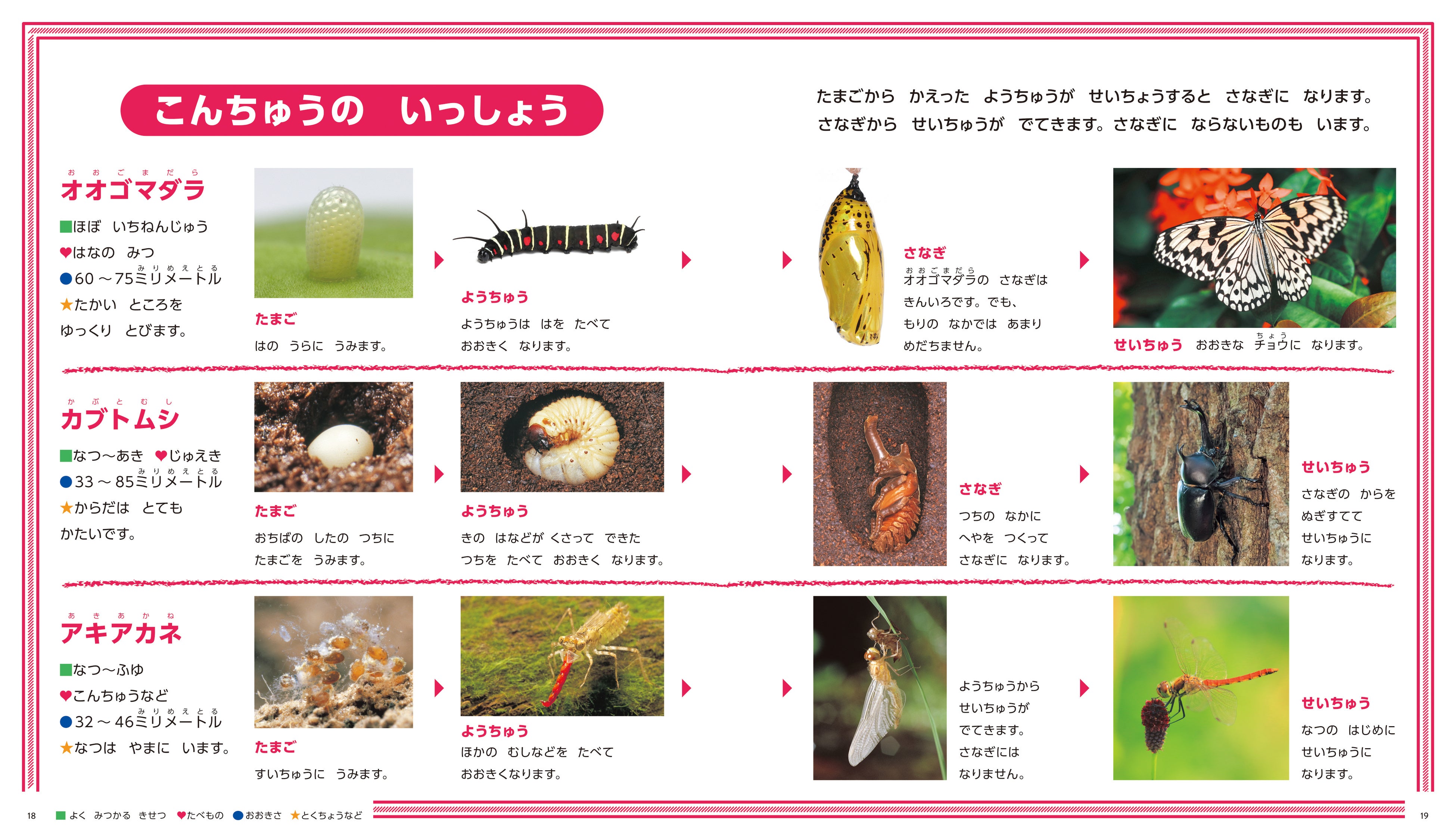 昆虫図鑑、ドリル9冊セット【17000円相当】●発送8月6日まで。次は18日 幼児図鑑『ひとりでよめるずかん』シリーズに、大人気の昆虫