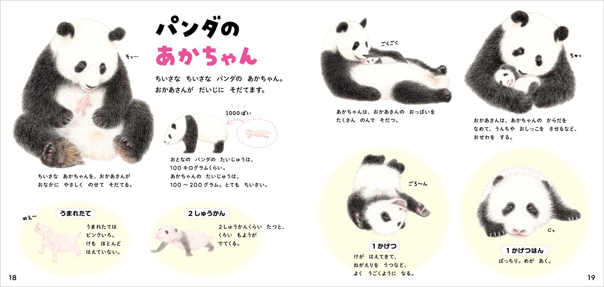 パンダだらけの絵本のような図鑑 学研のえほんずかん パンダのずかん が誕生 色鉛筆のふわふわイラストで パンダのことがまるごとわかる 株式会社 学研ホールディングスのプレスリリース パンダだらけの絵本のような図鑑 学研のえほんずかん パンダのずかん が誕生 色鉛筆のふわふわイラストで パンダのことがまるごとわかる 株式会社 学研ホールディングスのプレスリリース