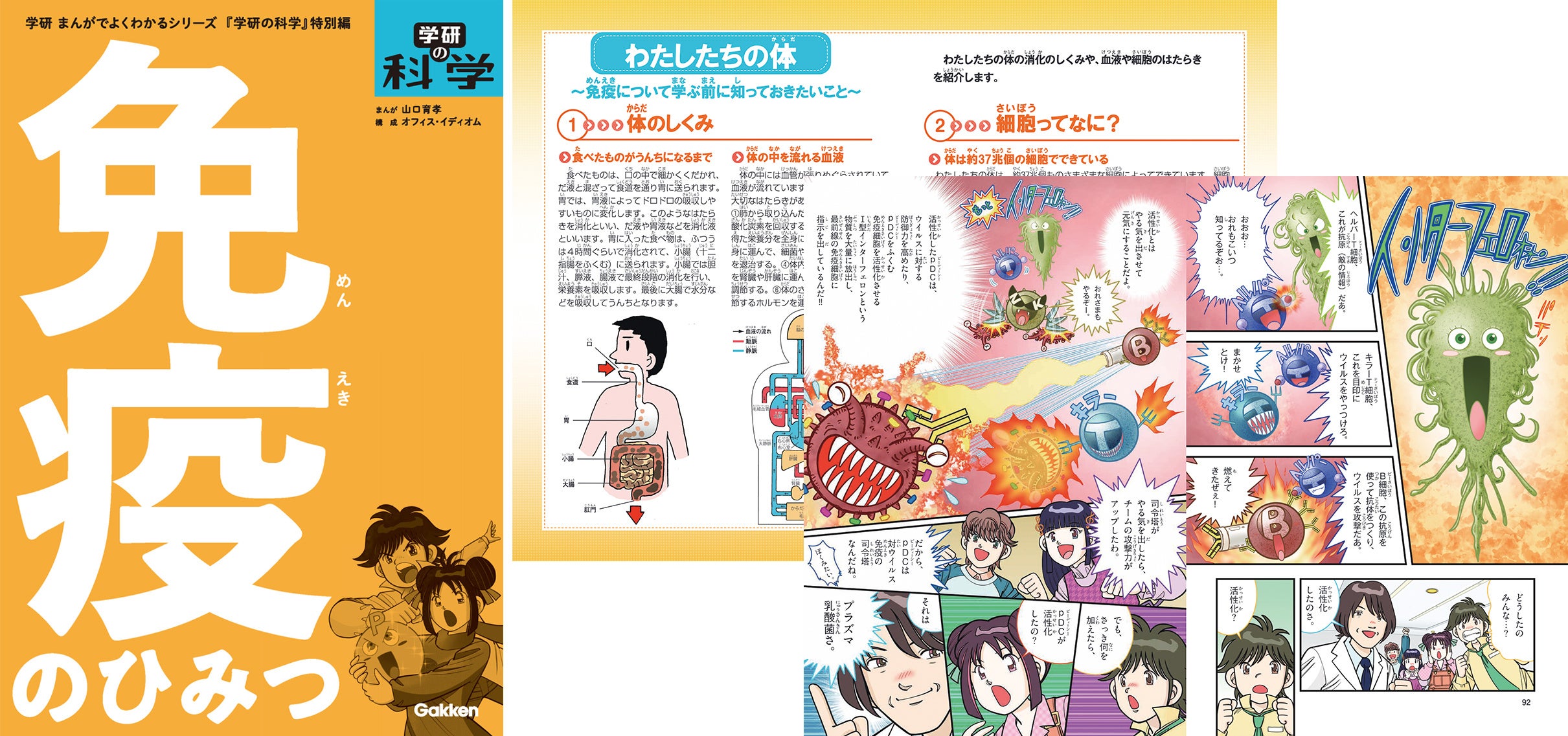 ▲128ページの大ボリュームで資料ページも充実！