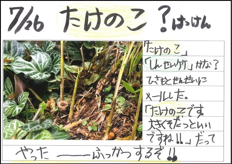 ▲栁澤 凪瑠さんの研究ノートの一部