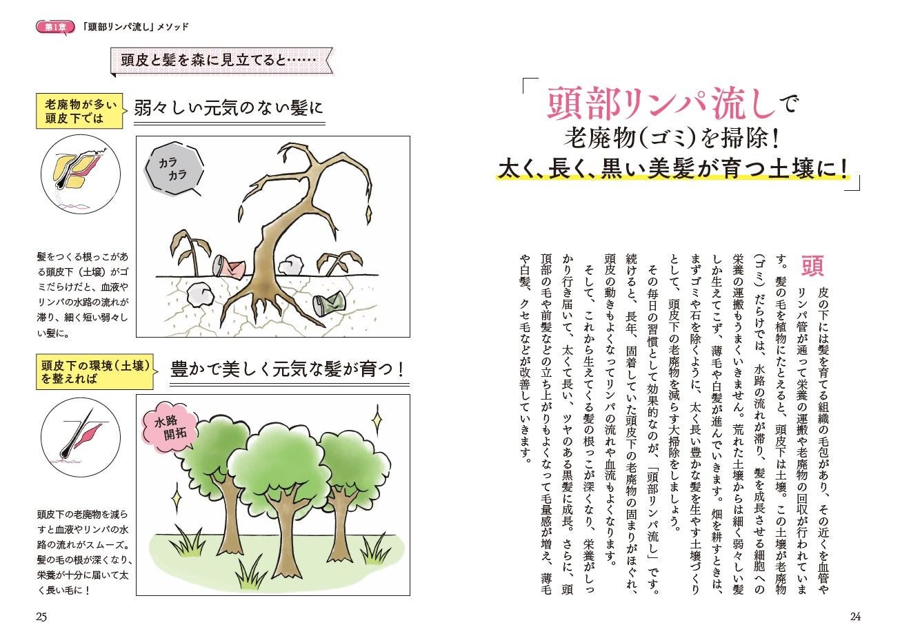 ▲「頭部リンパ流し」で太く、長く、黒い美髪が育つしくみをイラストをまじえてわかりやすく解説