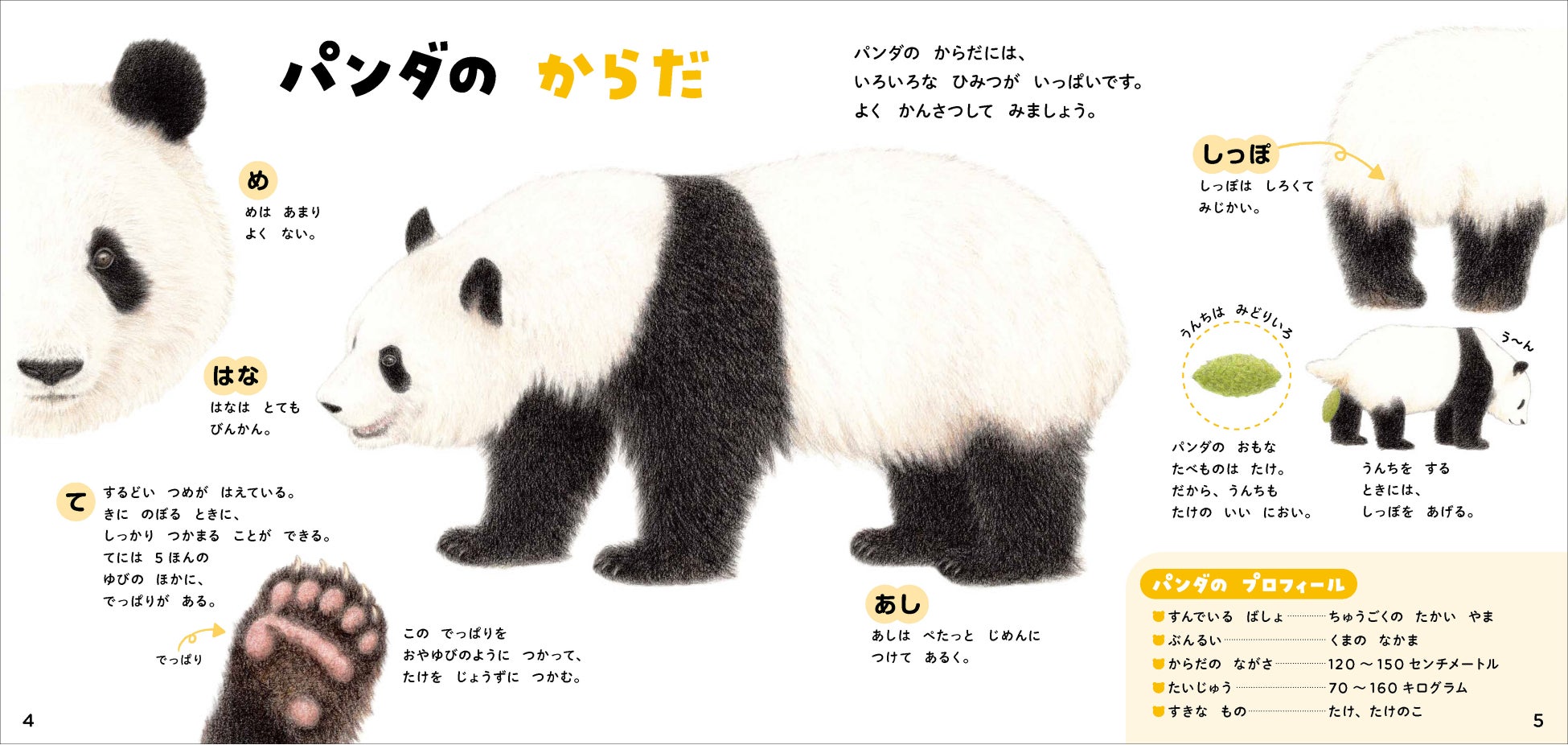 ネット書店で品切れ続出 話題の絵本図鑑 パンダのずかん が緊急重版 パンダのことがまるごとわかる絵本のような図鑑とは 株式会社 学研ホールディングスのプレスリリース ネット書店で品切れ続出 話題の絵本図鑑 パンダのずかん が緊急重版 パンダのことがまるごとわかる絵本のような図鑑とは 株式会社 学研ホールディングスのプレスリリース