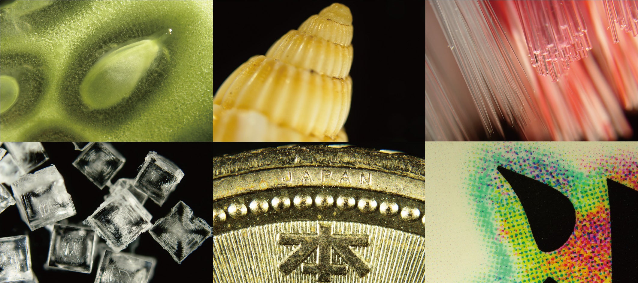 ▲左上から時計回りに、キュウリの断面、貝がら、歯ブラシ、印刷物、硬貨、塩の結晶。見慣れているものも大きくすれば発見がいっぱい！
