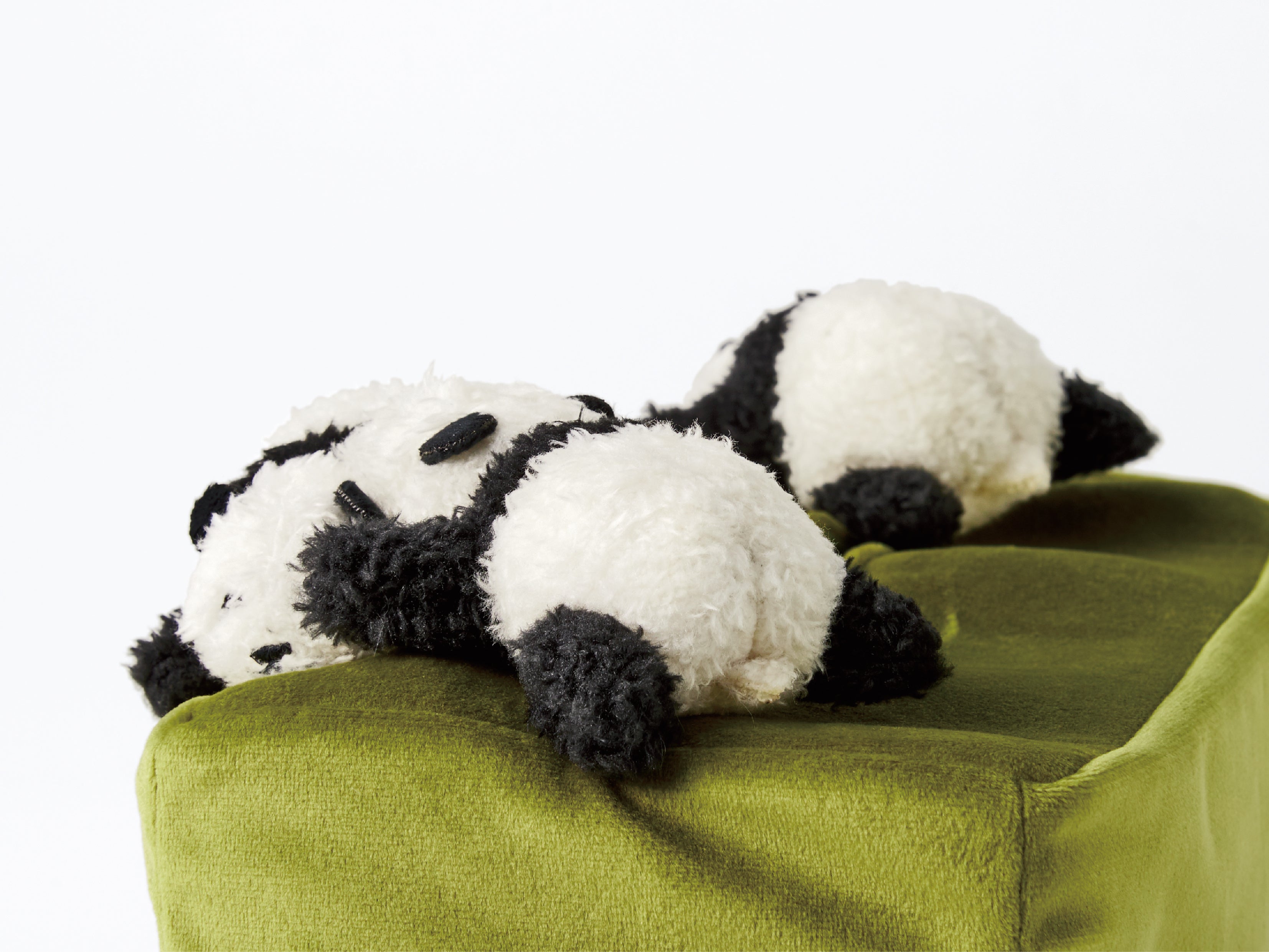 学研×YOU+MORE!】パンダの絵本図鑑＆パンダグッズが当たるキャンペーン