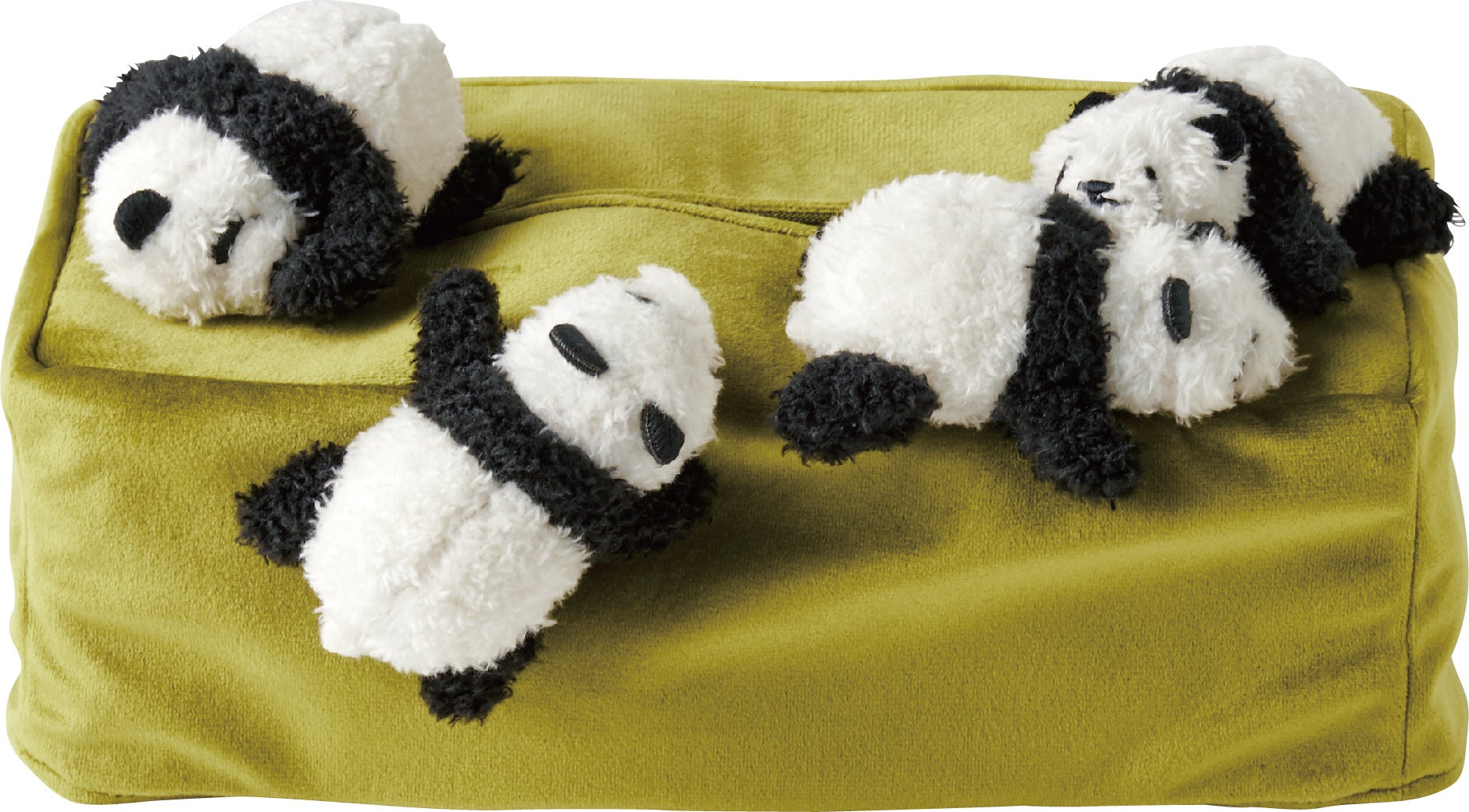 ▲手前の、落ちそうになりながら頑張っている子もキュート。