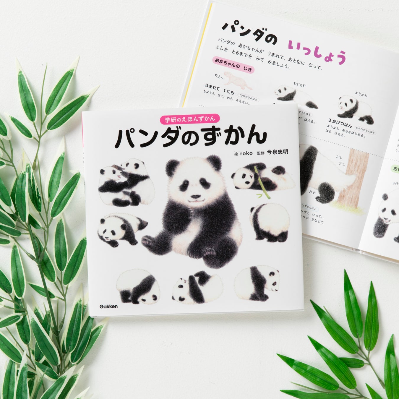 ▲『学研のえほんずかん パンダのずかん』