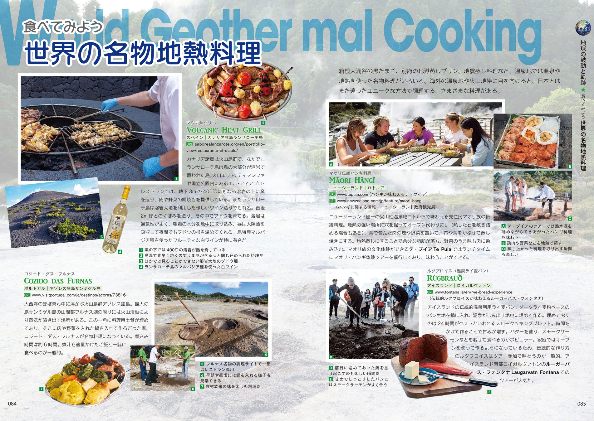 世界の名物温泉や地熱料理の数々も紹介!