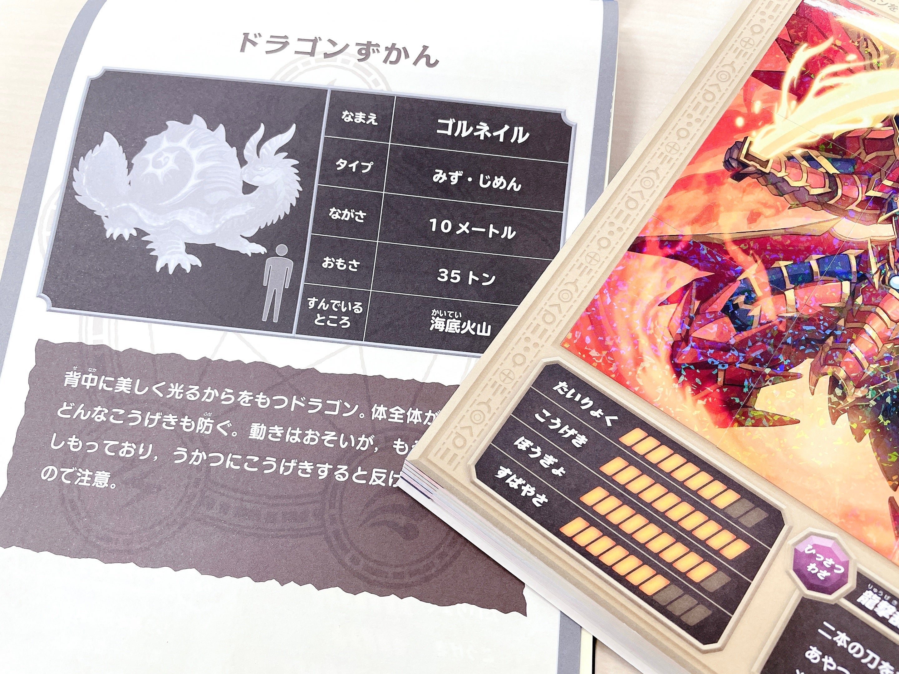 ▲「ドラゴンずかん」にはワクワクするドラゴンの情報が満載！