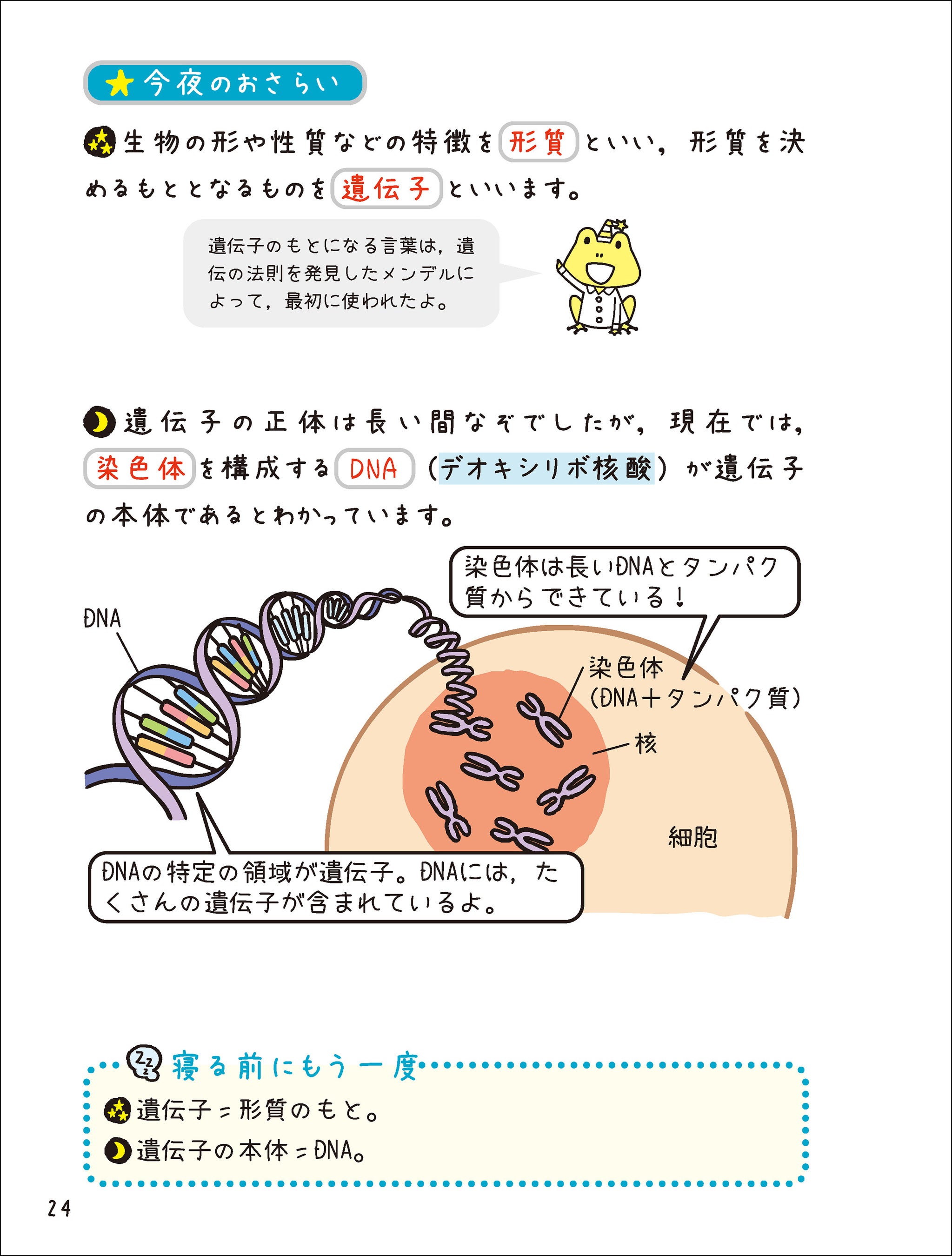 寝る前の5分間で高校の学習範囲を効率的に暗記！】「寝る前5分