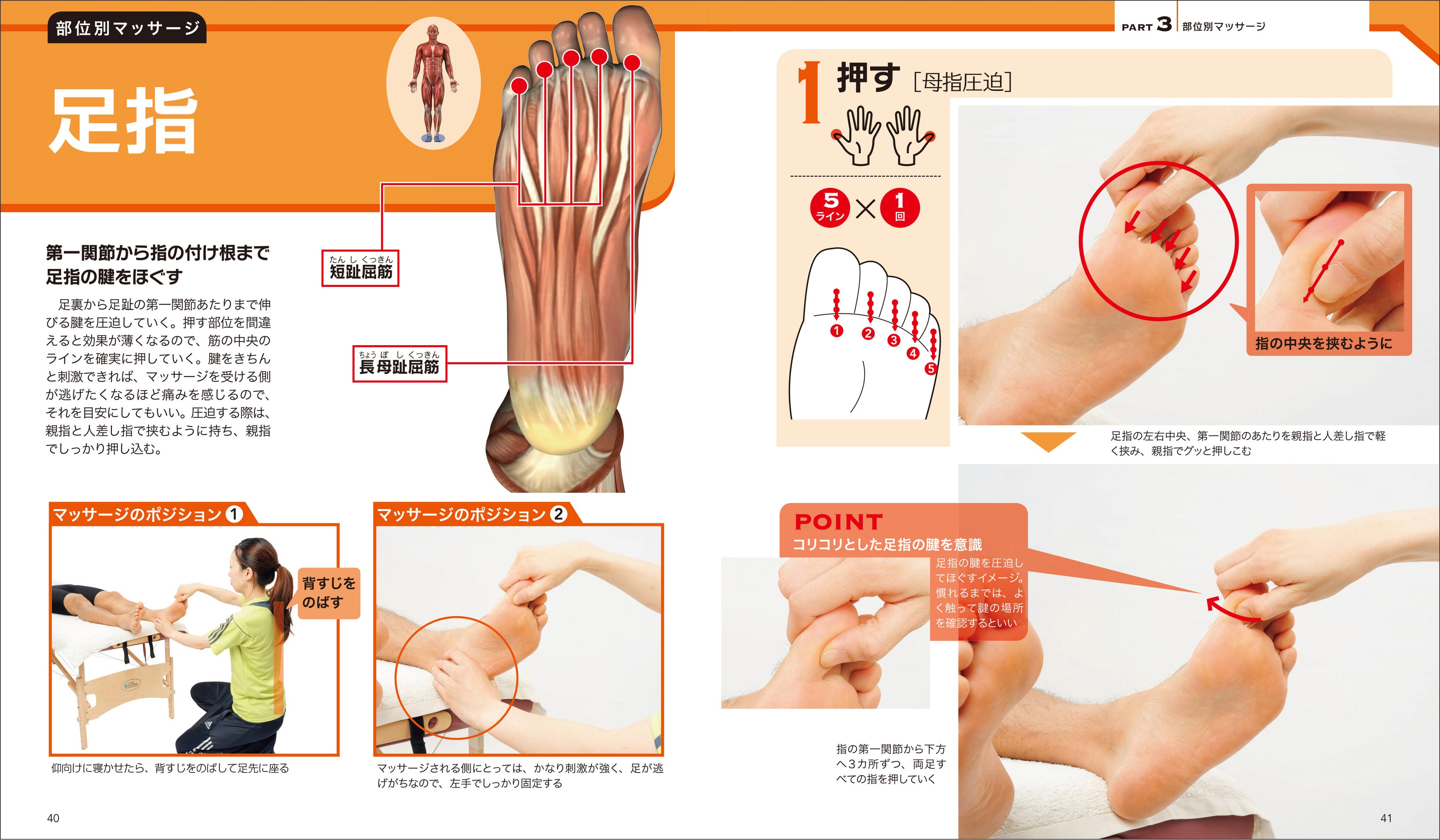▲体の部位別に、アプローチしたい筋肉の場所や用いる手技、ポイントなどを大きく見やすいイラストや写真とともに解説。見ながら実践しやすいページ構成です