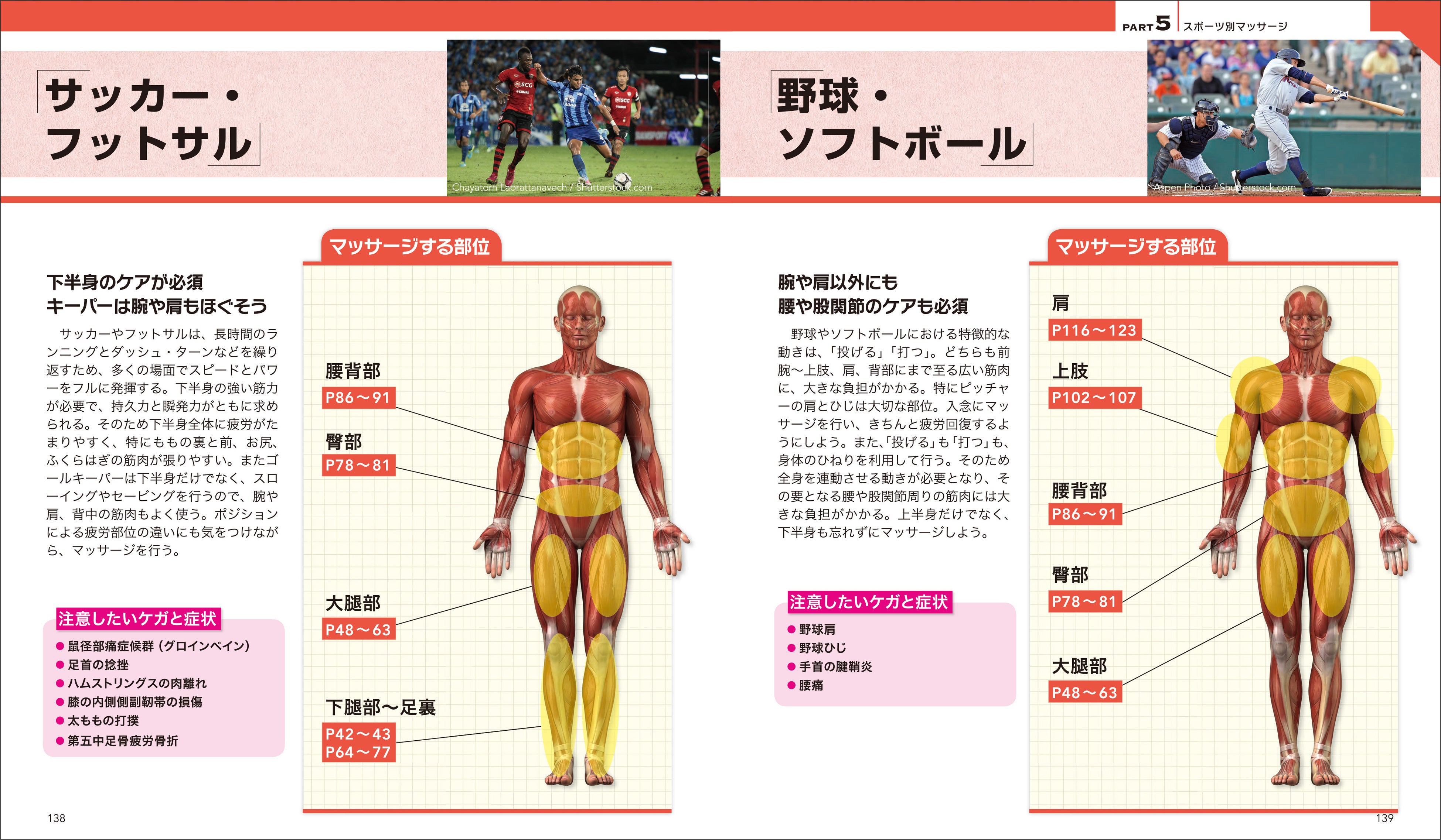 ▲競技ごとに、負荷のかかりやすい部位などの特性を考慮した種目別マッサージも豊富に紹介。疲労の軽減や障害予防の効果を高めます
