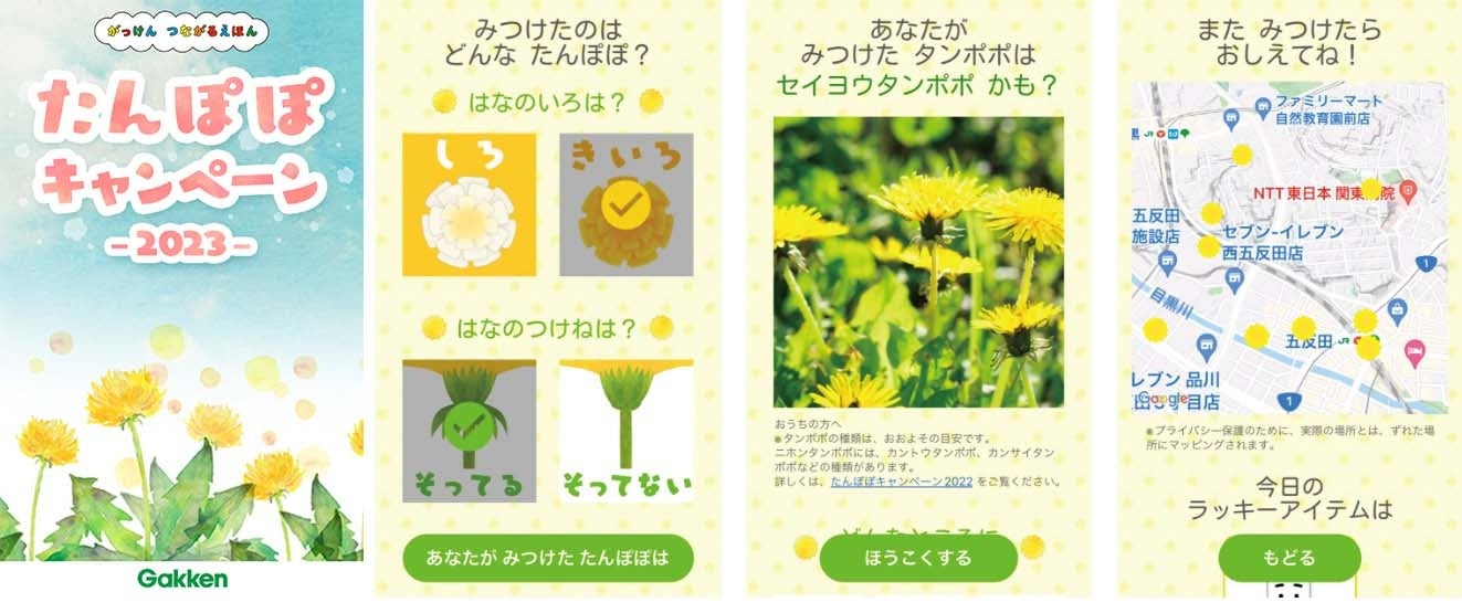 たんぽぽページ アプリでかんたん環境調べ。「たんぽぽキャンペーン2023」に参加しま