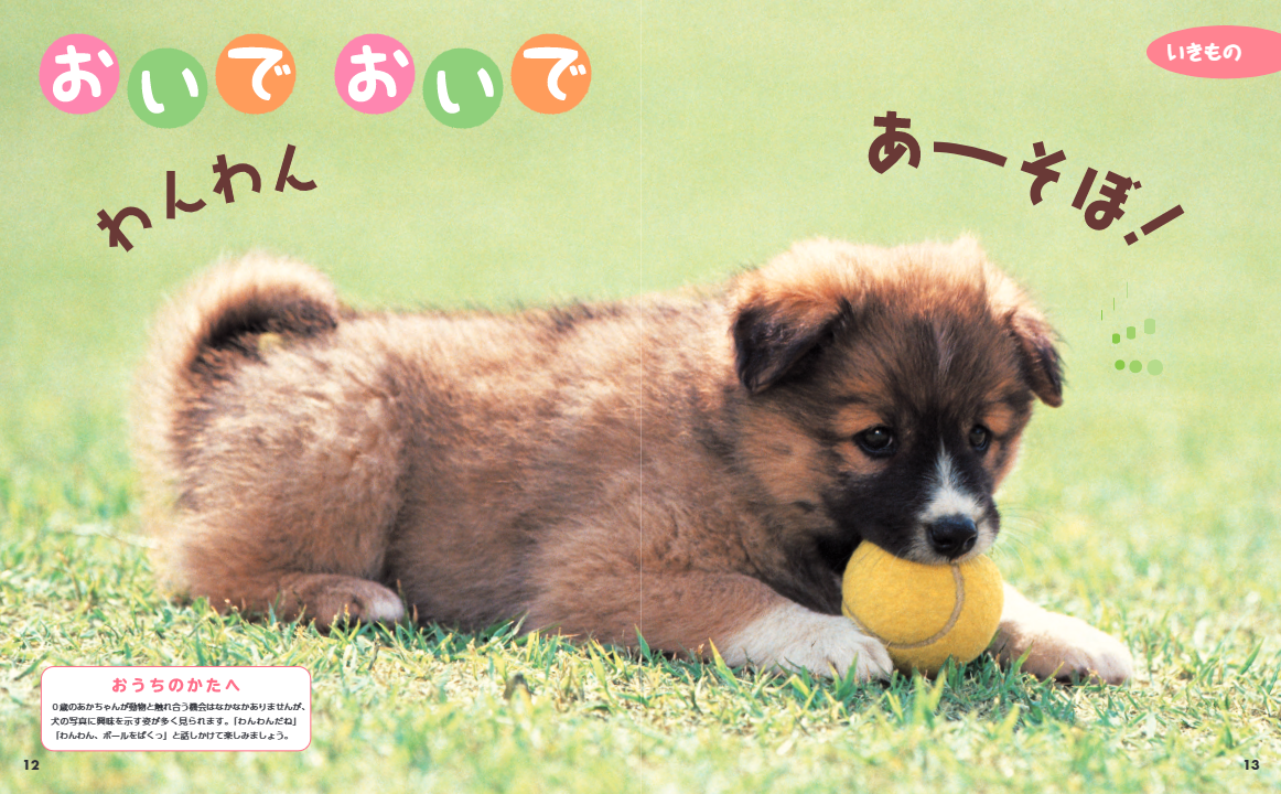 ▲赤ちゃんが興味を示す、身近な動物の写真を多数掲載（『０さいだもん もっとだいすきがいっぱい』より）