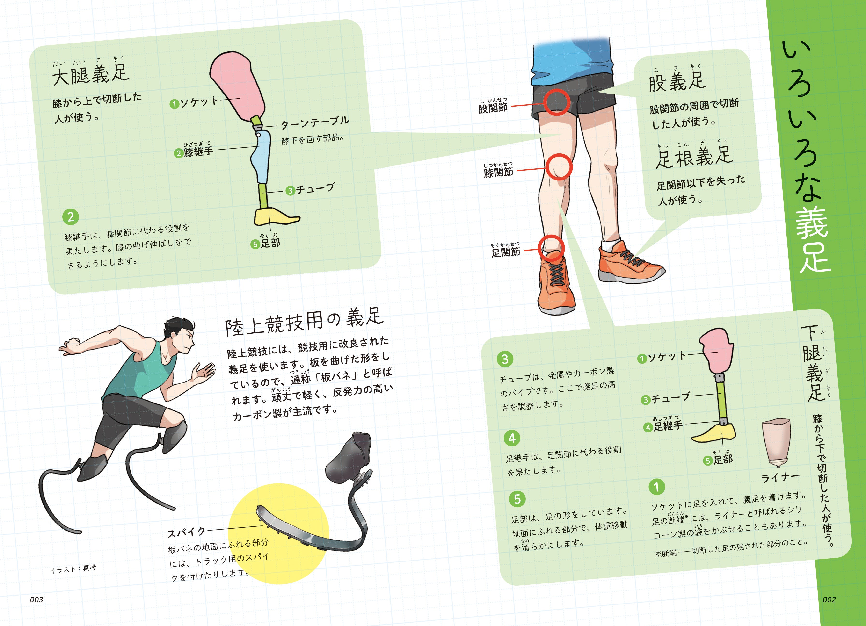 ▲義足についての説明ページもあり、分かりやすく読みやすい