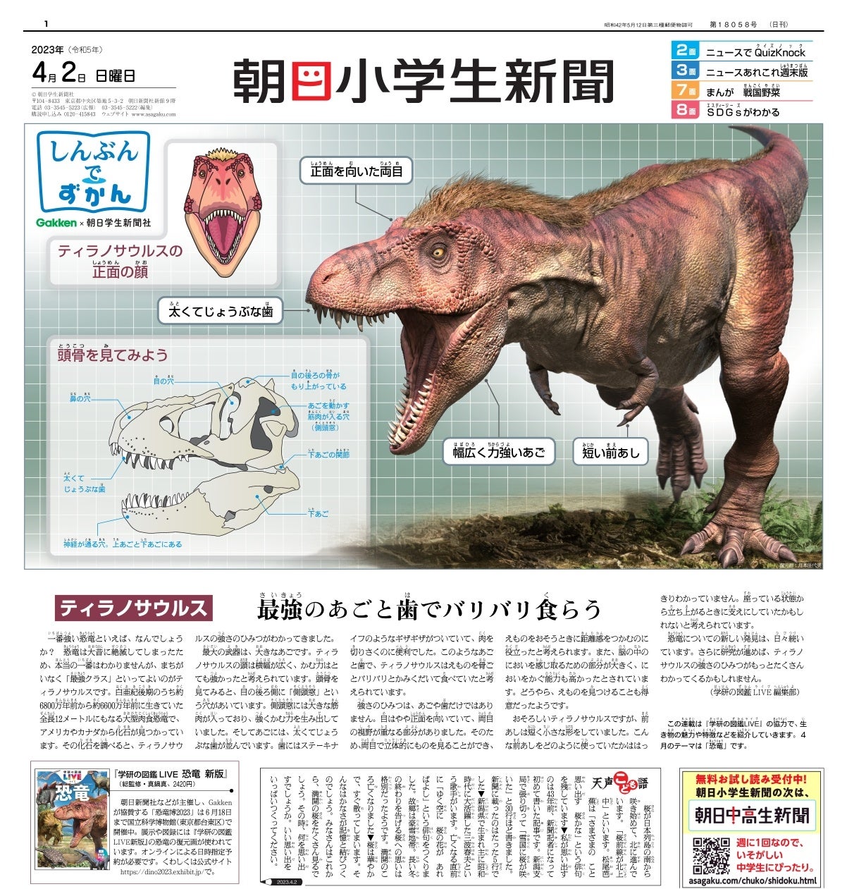 ▲記念すべき第1回はティラノサウルスを特集! © 朝日学生新聞社