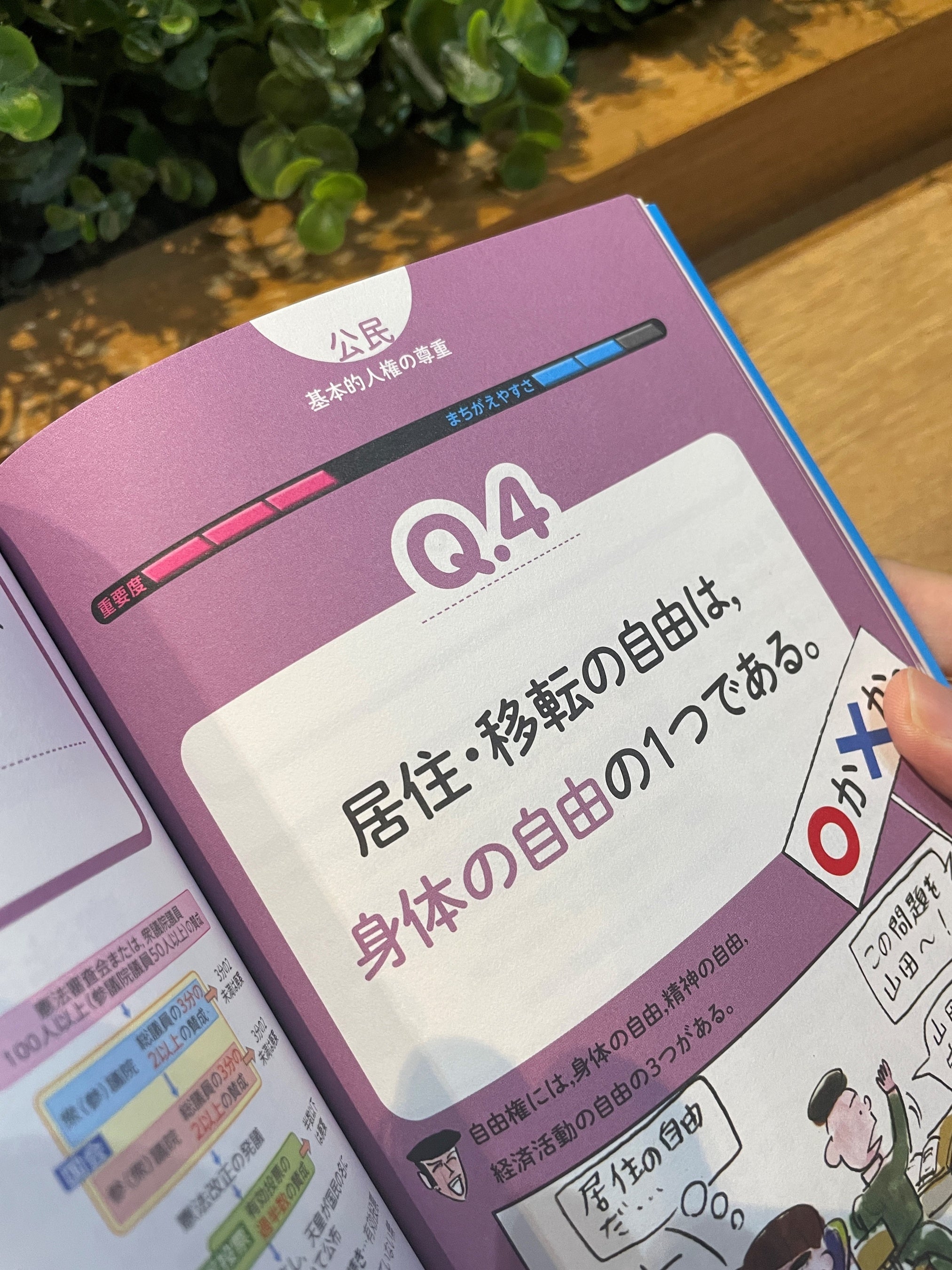 日本の最南端は「沖ノ鳥島」？ 「南鳥島」？ 〇×クイズで勘違いを