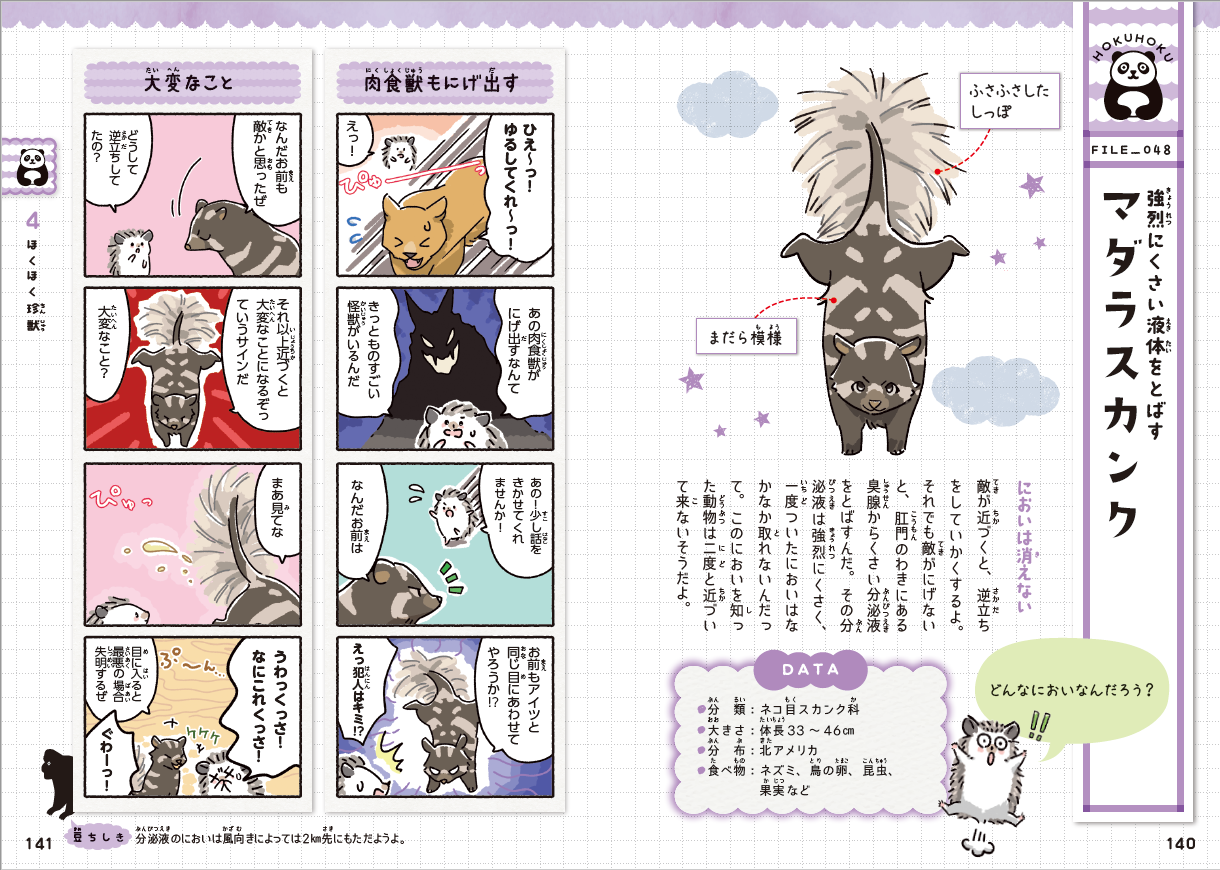 ▲マダラスカンクの逆立ち！いったいなんのためでしょう？